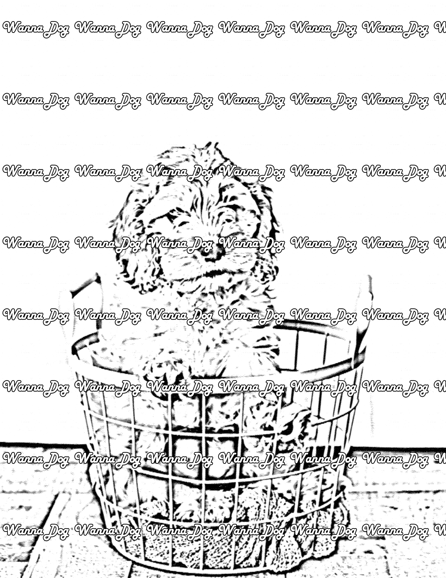 Cockapoo Coloring Page of a Cockapoo sitting in a laundry basket