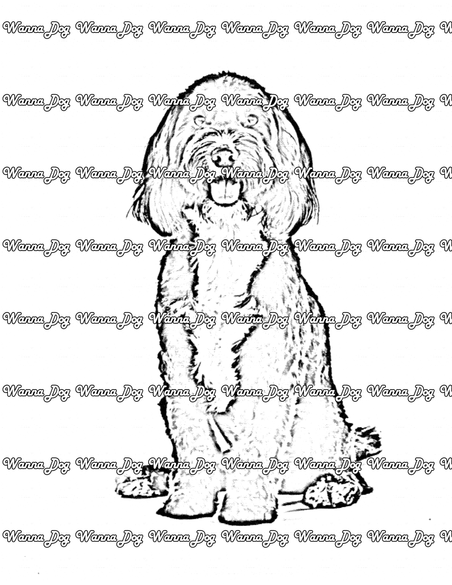 Cockapoo Coloring Page of a Cockapoo posing for the camera