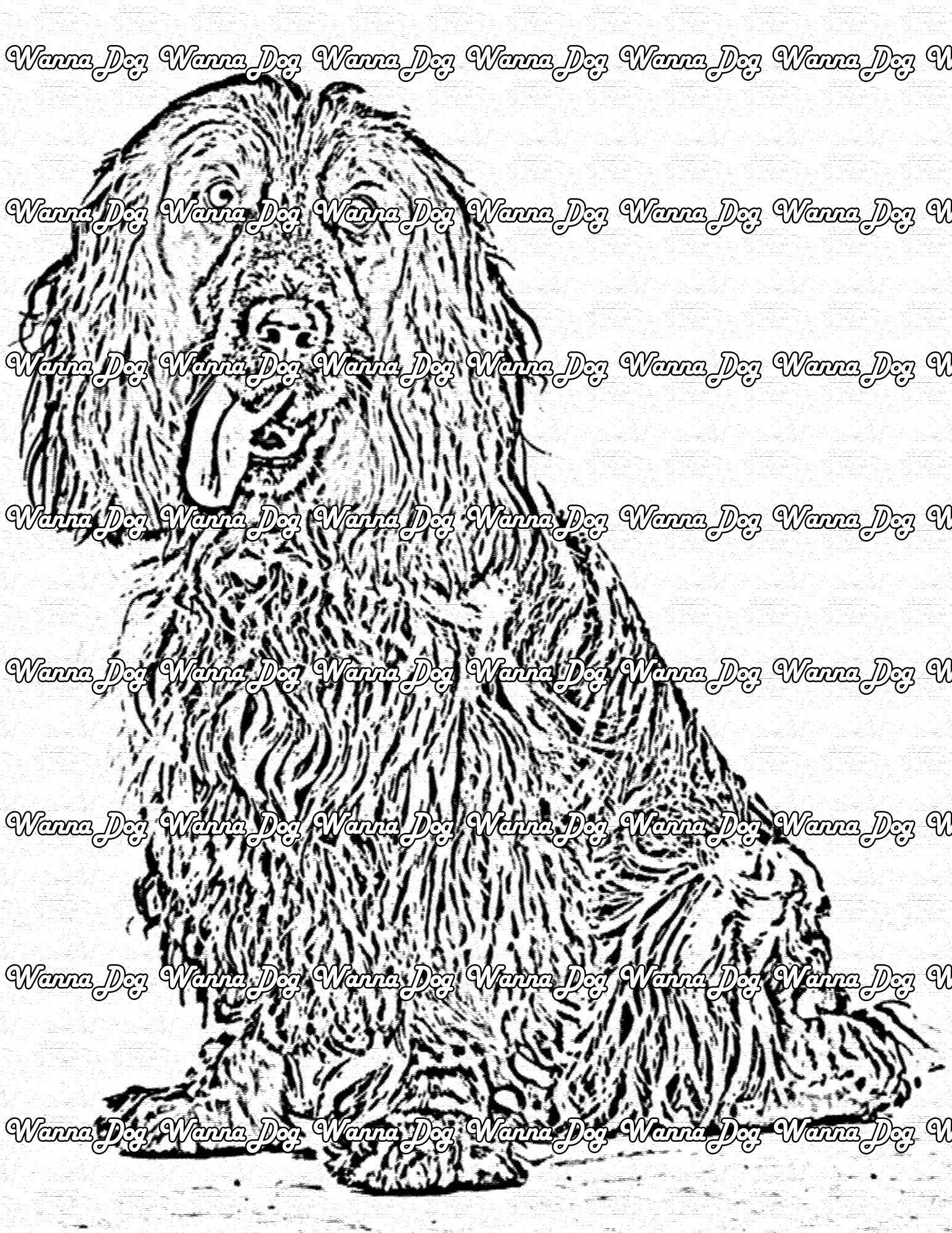 Cocker Spaniel Coloring Pages of a Cocker Spaniel sitting with their tongue