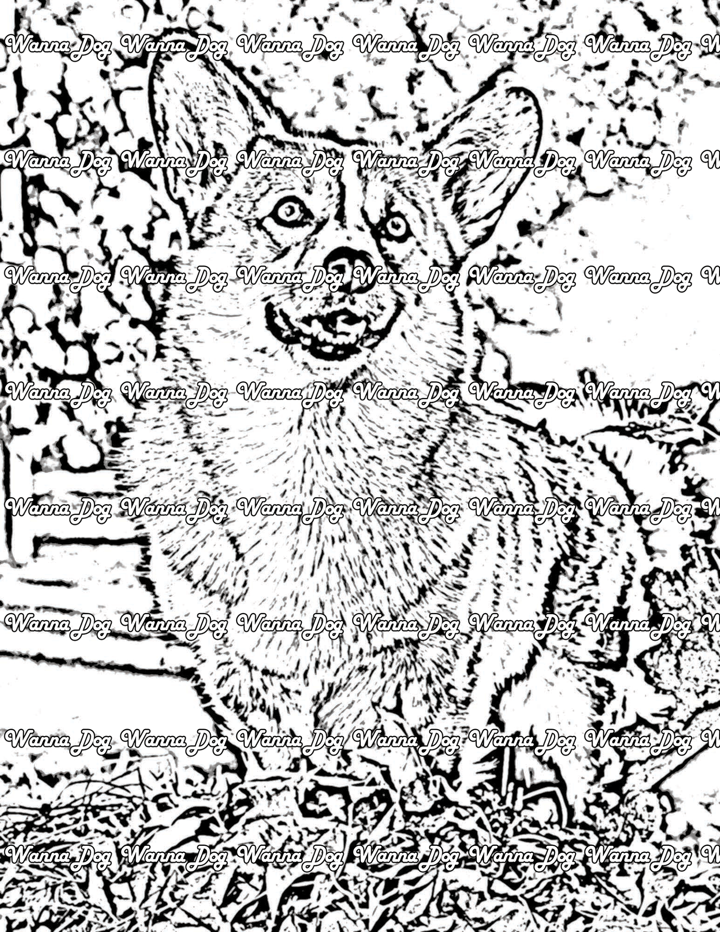 Corgi Coloring Page of a Corgi playing in a field