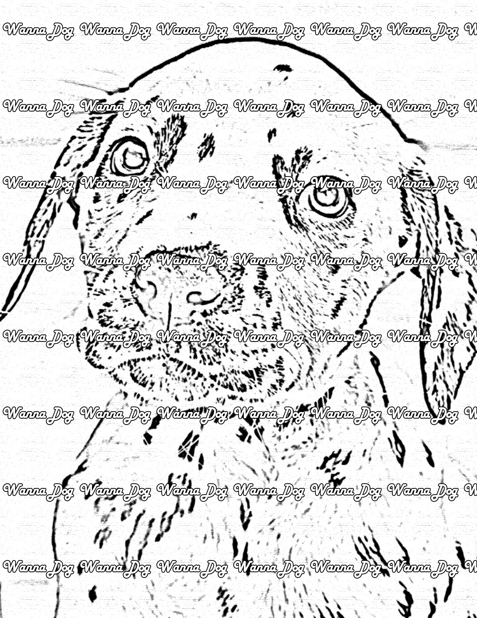 Dalmatian Puppy Coloring Page of a Dalmatian Puppy smiling close up