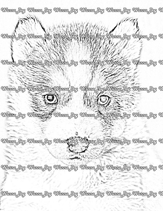Husky Puppy Coloring Page of a Husky Puppy close up