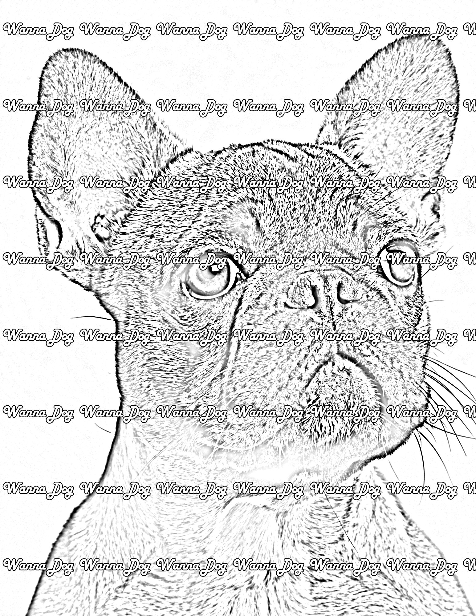French Bulldog Puppy Coloring Page of a French Bulldog Puppy headshot