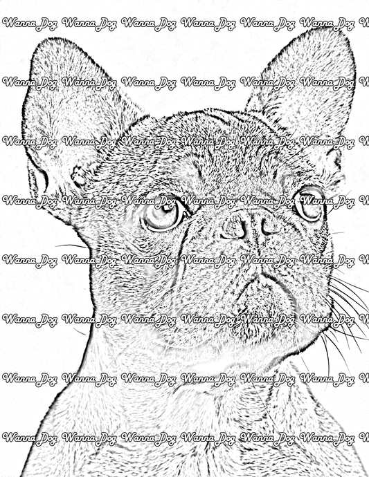 French Bulldog Puppy Coloring Page of a French Bulldog Puppy headshot