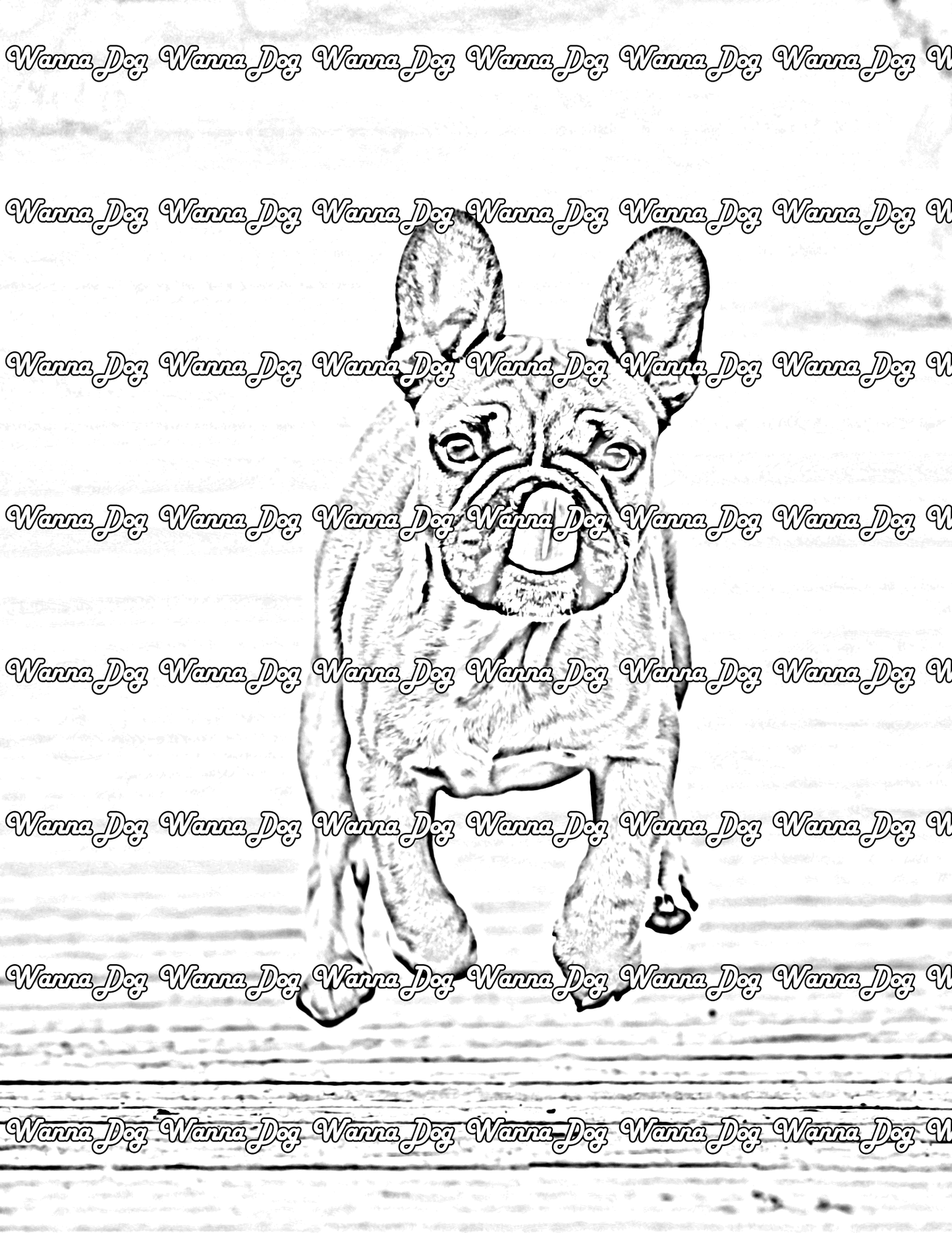 French Bulldog Puppy Coloring Page of a French Bulldog Puppy running with their tongue out
