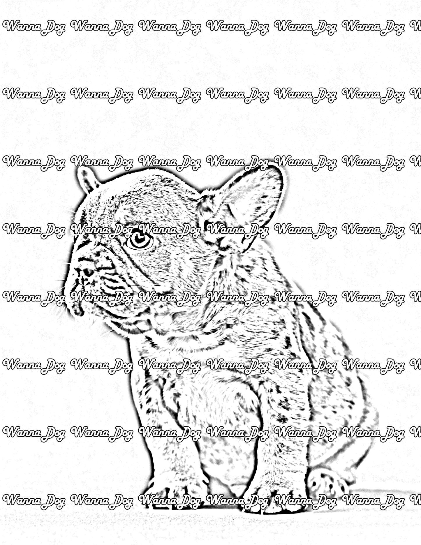 French Bulldog Puppy Coloring Page of a French Bulldog Puppy looking away from the camera
