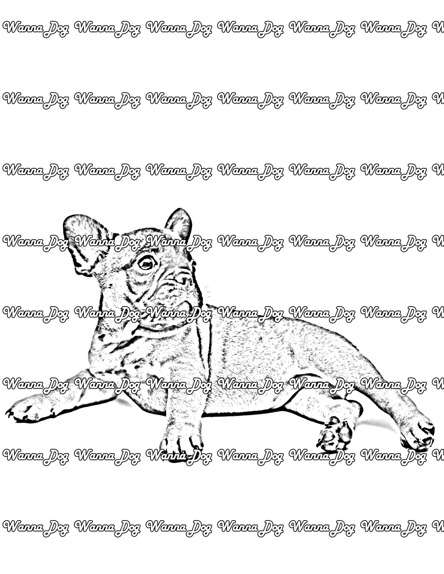 French Bulldog Puppy Coloring Page of a French Bulldog Puppy laying down and looking away from the camera