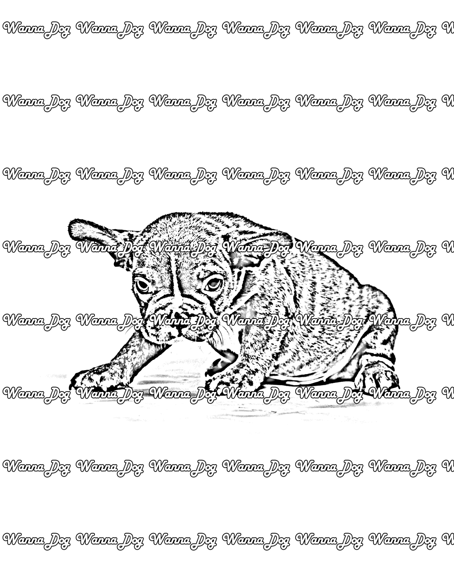 French Bulldog Puppy Coloring Page of a French Bulldog Puppy sitting