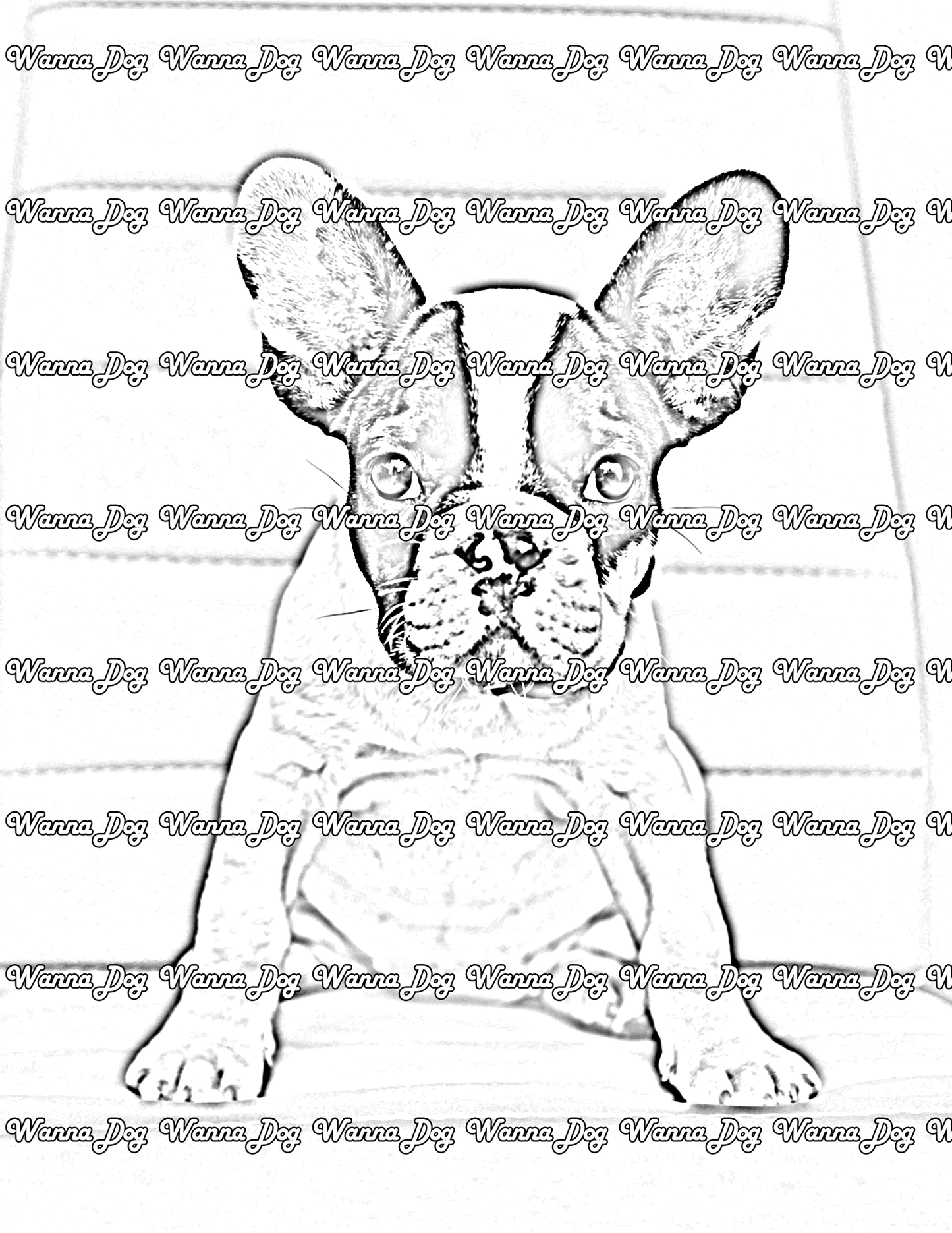 French Bulldog Puppy Coloring Page of a French Bulldog Puppy posing