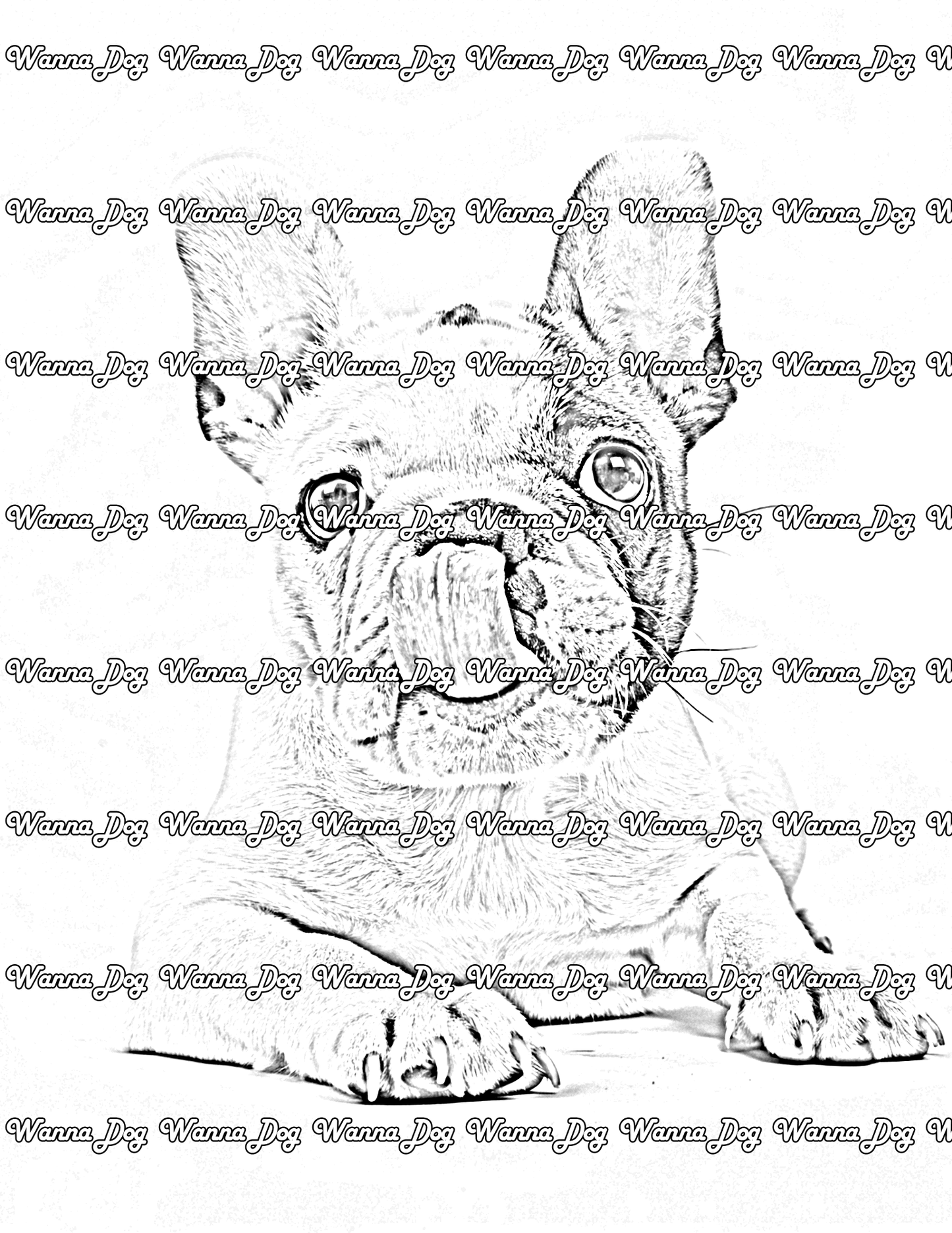 French Bulldog Puppy Coloring Page of a French Bulldog Puppy laying down with their tongue out