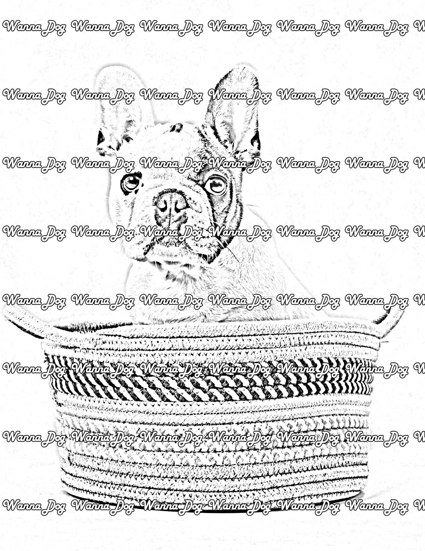French Bulldog Puppy Coloring Page of a French Bulldog Puppy sitting in a basket