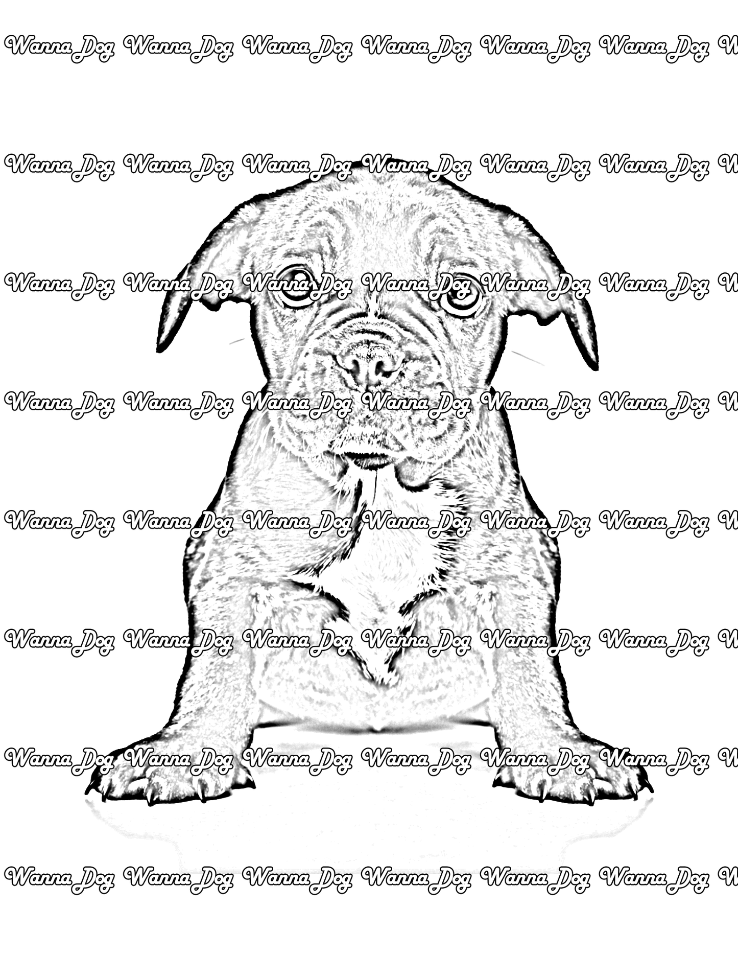 French Bulldog Puppy Coloring Page of a French Bulldog Puppy posing for the camera