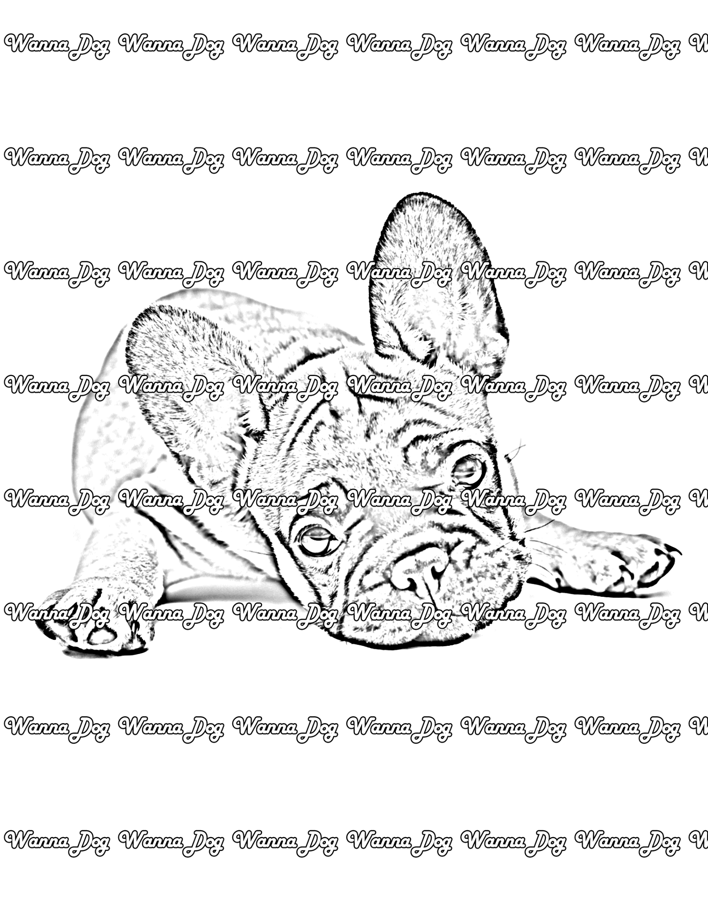 French Bulldog Puppy Coloring Page of a French Bulldog Puppy laying down with their ears up