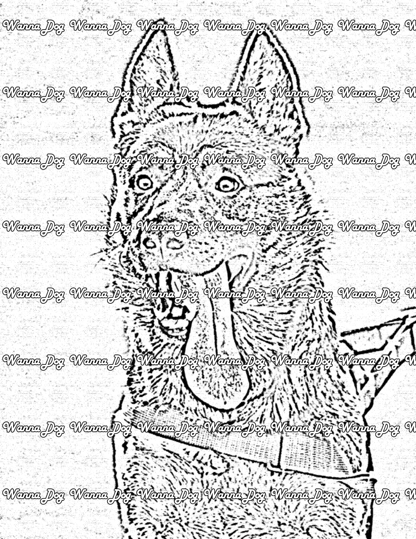 German Shepherd Coloring Page of a German Shepherd with their tongue out