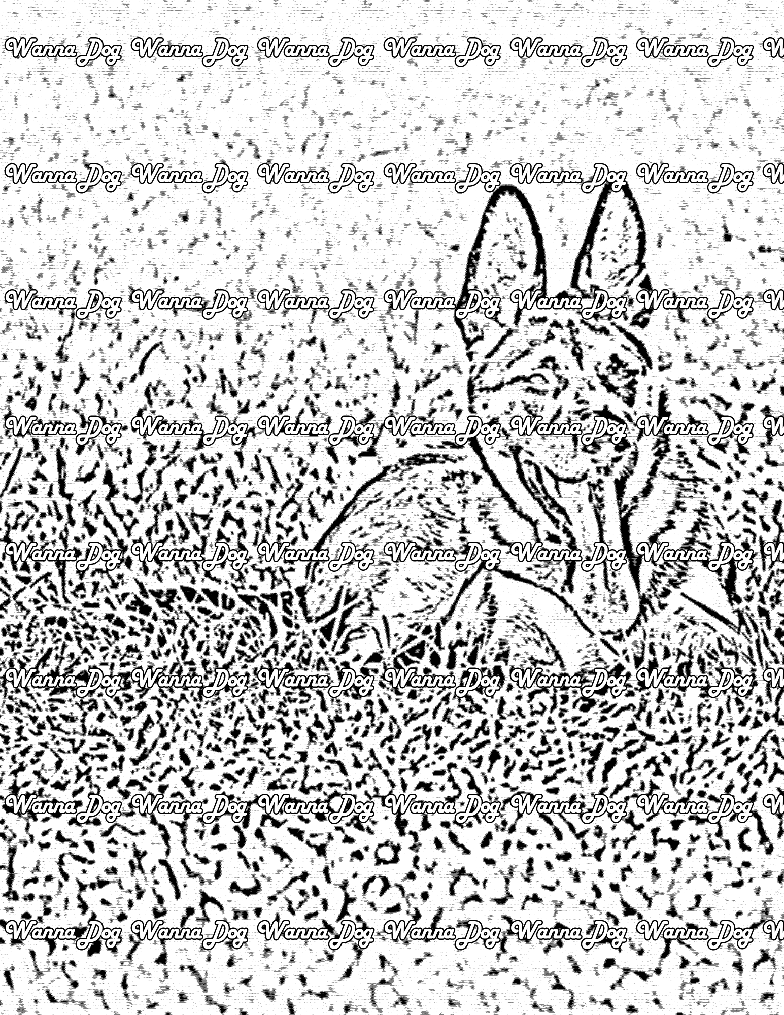 German Shepherd Coloring Page of a German Shepherd in grass with their tongue out
