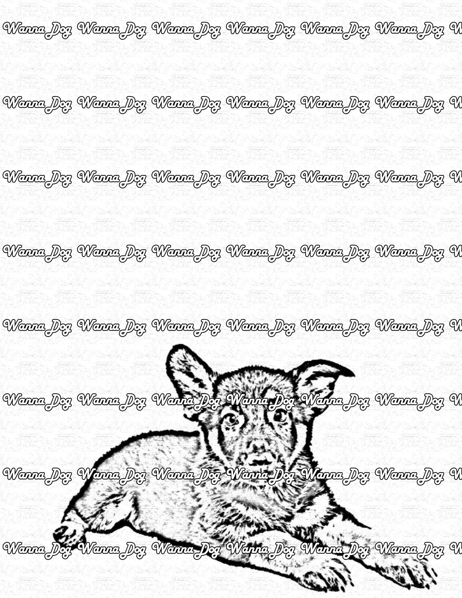 German Shepherd Puppy Coloring Pages of a German Shepherd Puppy with their ears up