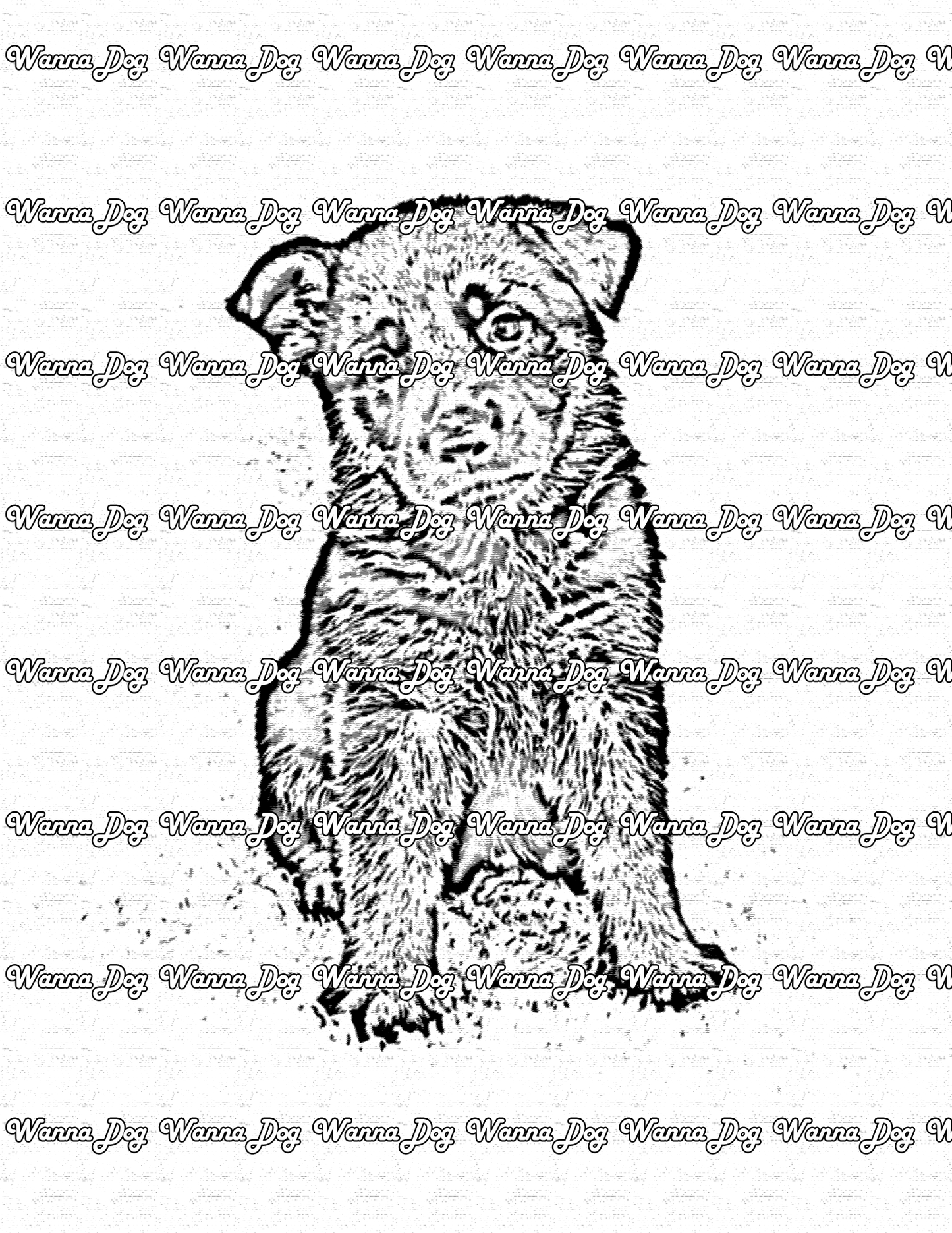 German Shepherd Puppy Coloring Pages of a German Shepherd Puppy looking at the camera