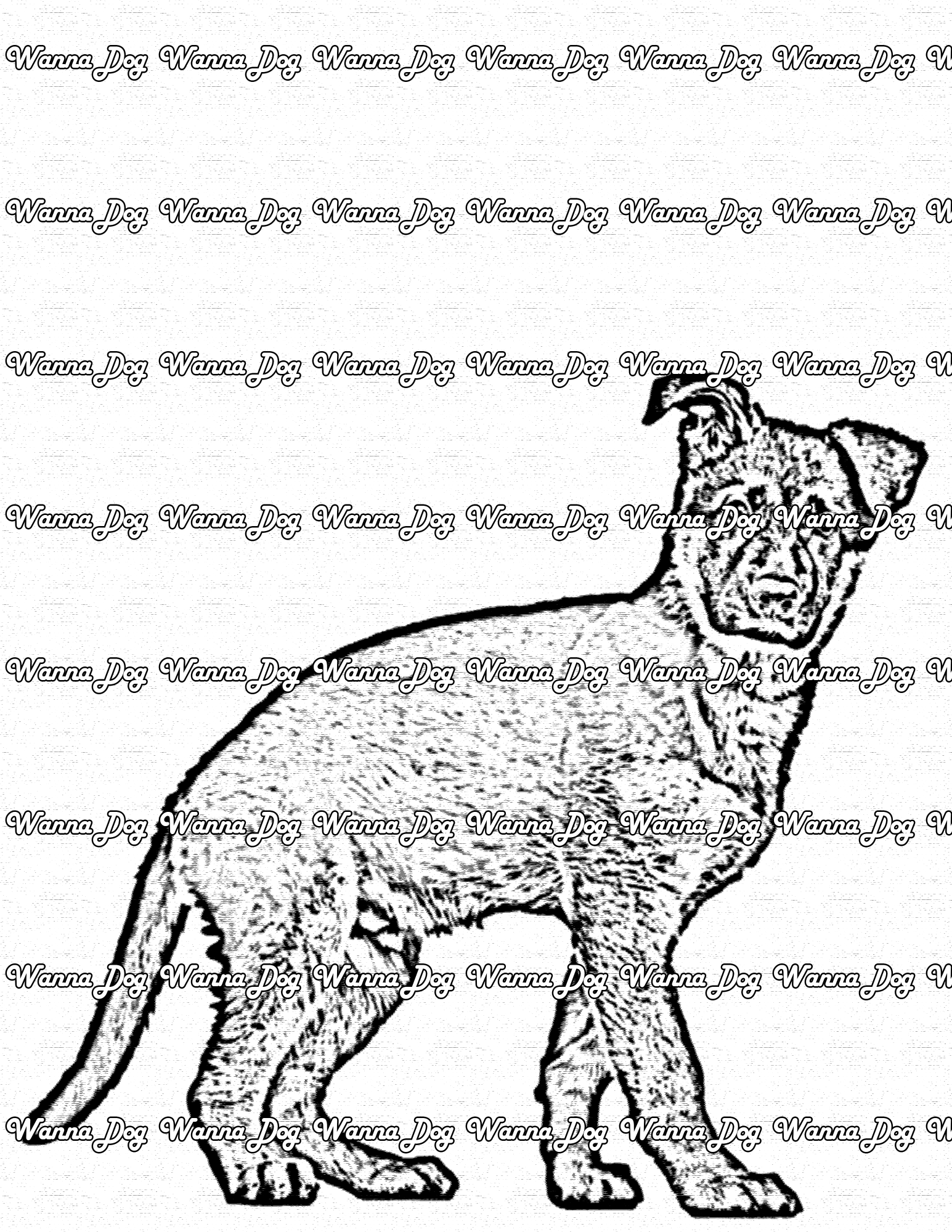 German Shepherd Puppy Coloring Pages of a German Shepherd Puppy standing
