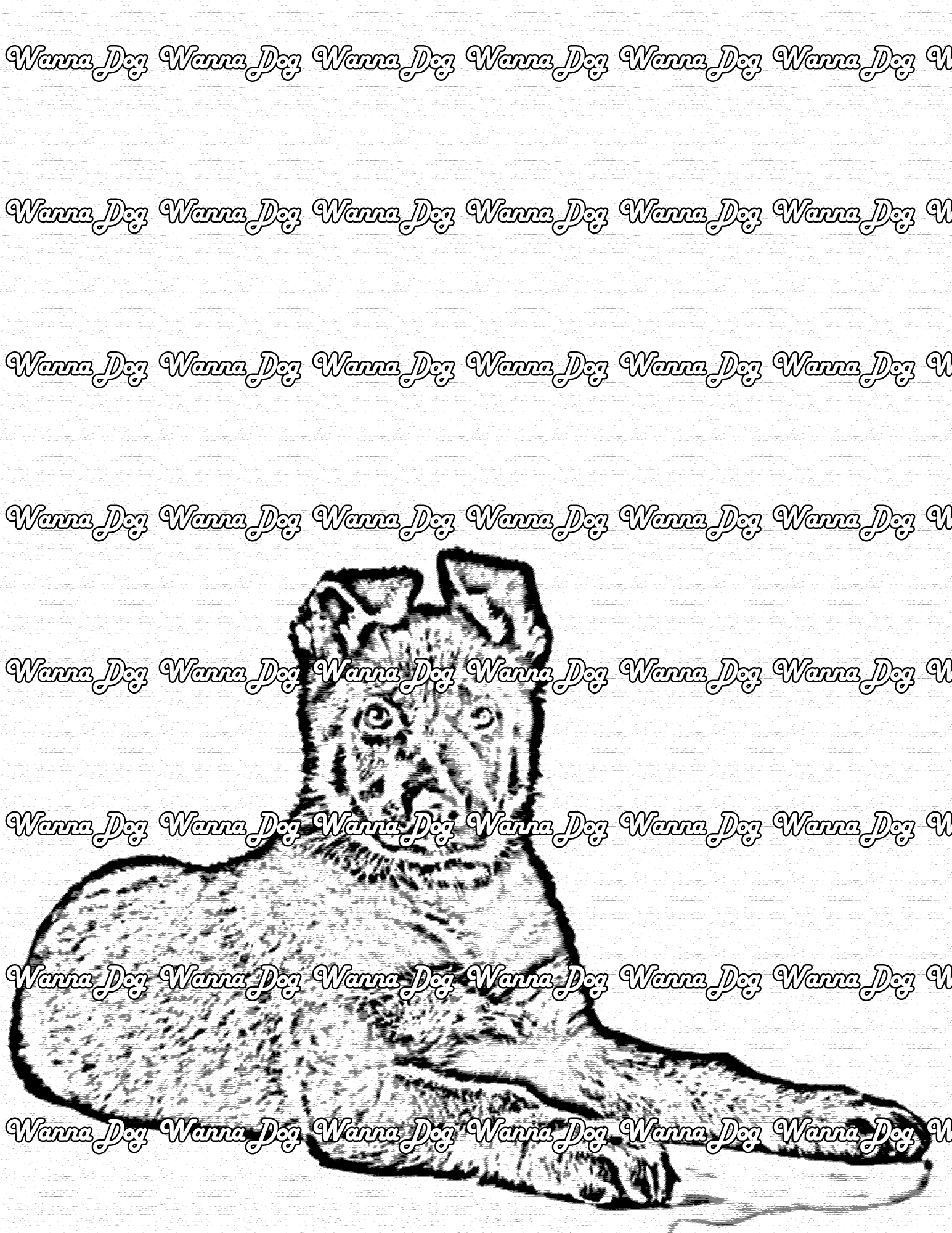 German Shepherd Puppy Coloring Pages of a German Shepherd Puppy laying down
