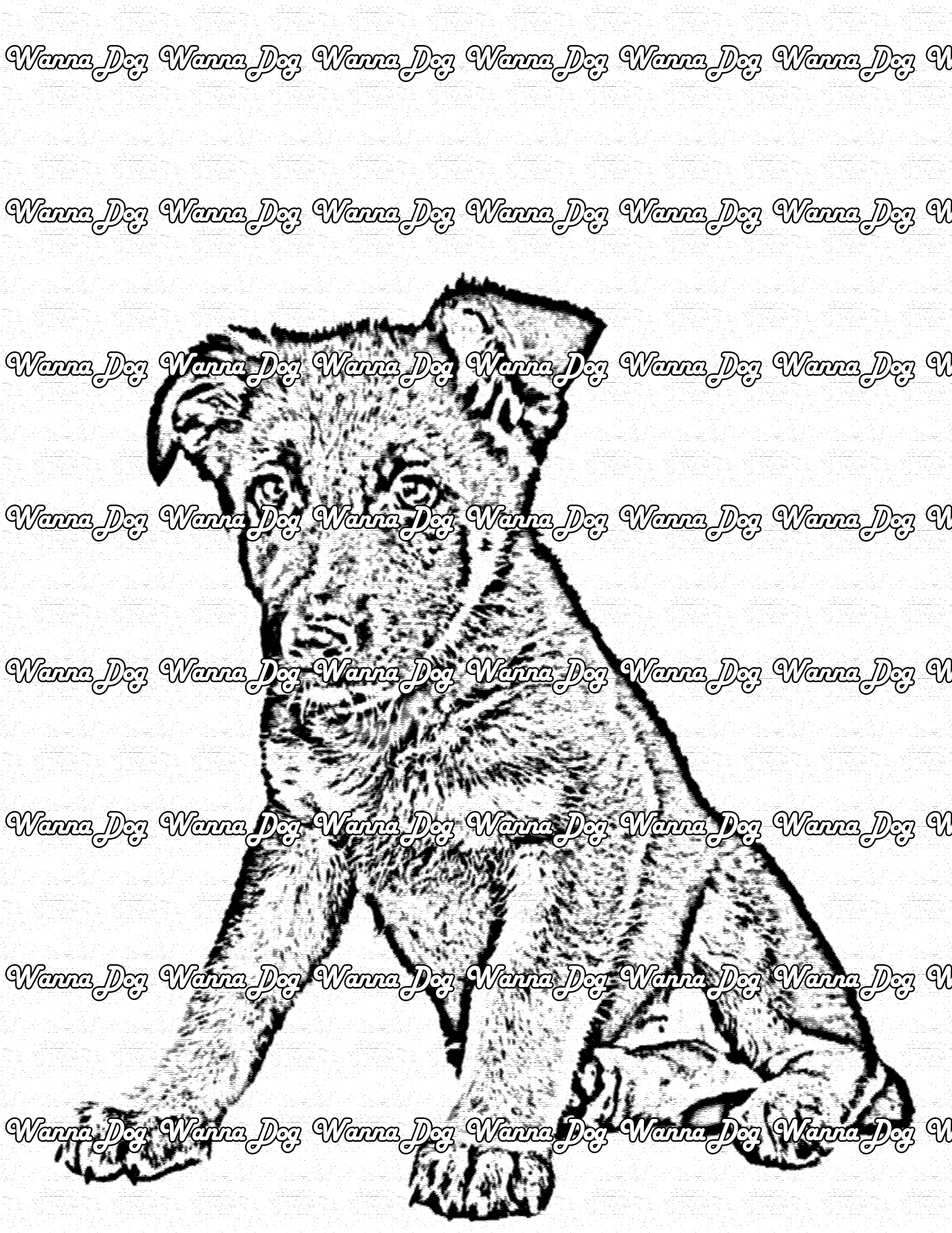 German Shepherd Puppy Coloring Pages of a German Shepherd Puppy sitting down and looking at the camera