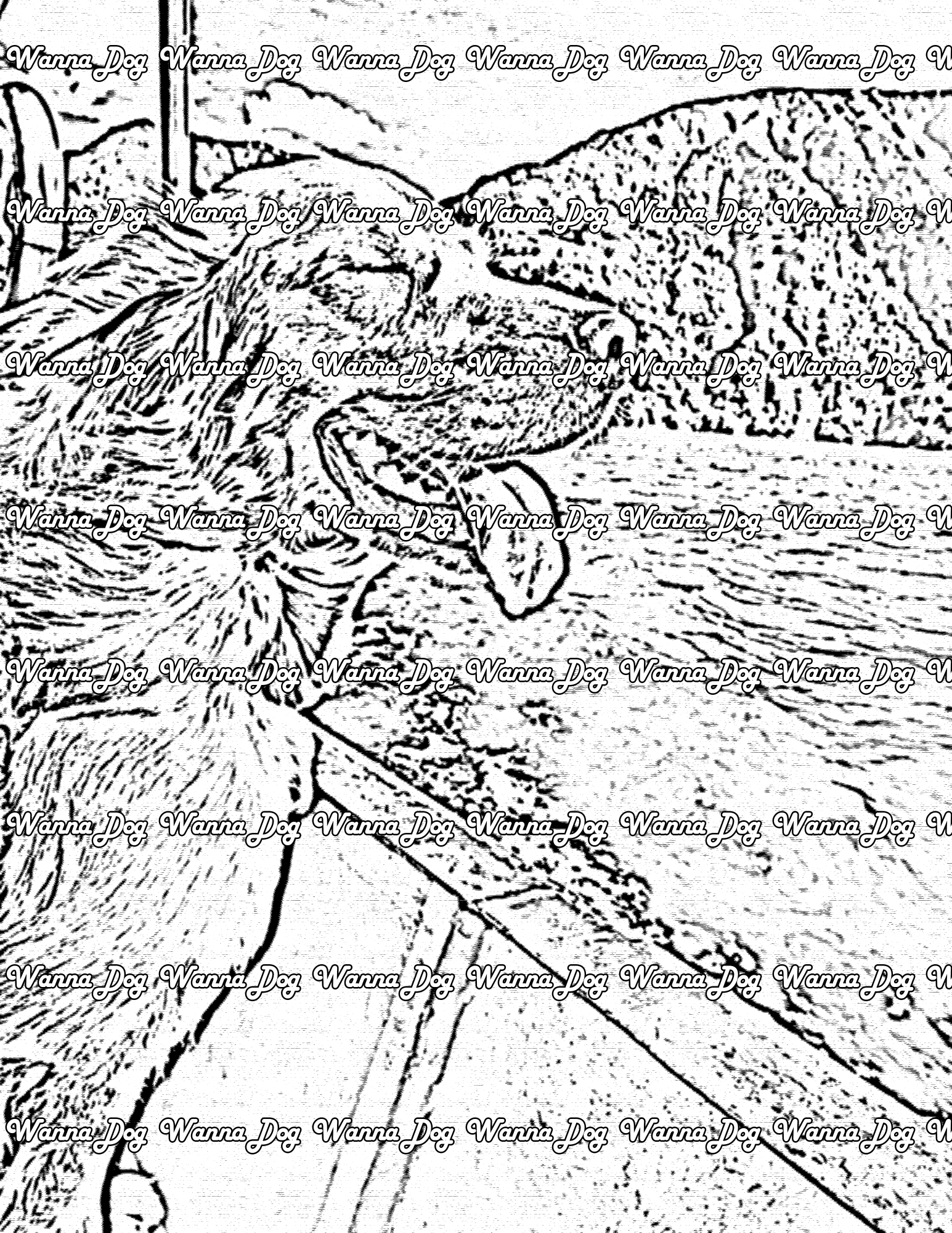 Golden Retriever Coloring Page of a Golden Retriever on a boat in the water smiling with their tongue out and wind blowing in their hair 