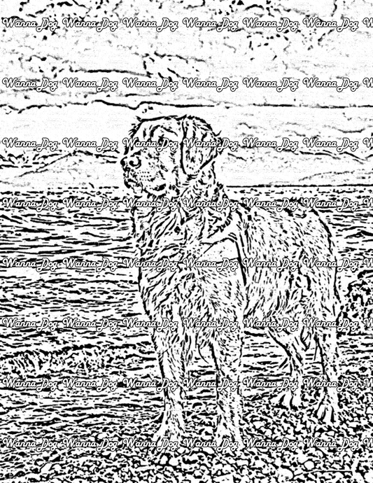 Golden Retriever Coloring Page of a Golden Retriever near the water at the beach
