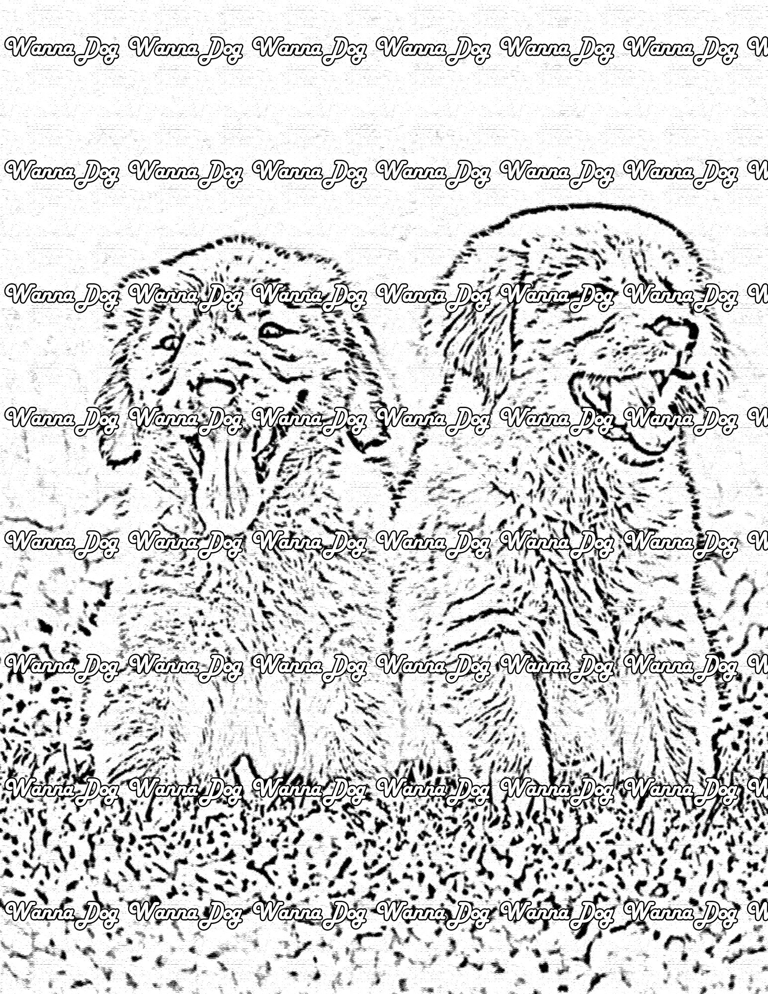 Golden Retriever Coloring Page of 2 Golden Retrievers in a field 