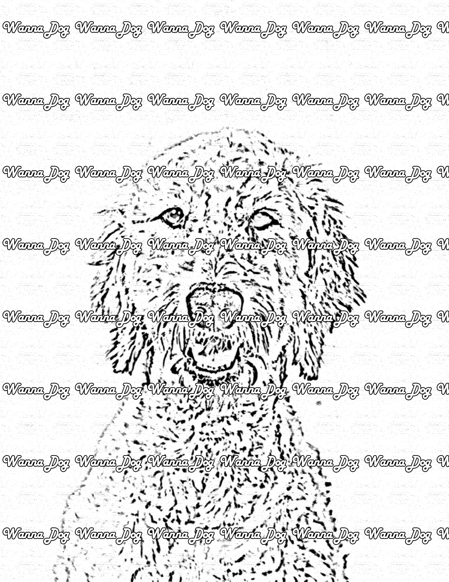 Goldendoodle Coloring Page of a Goldendoodle posing
