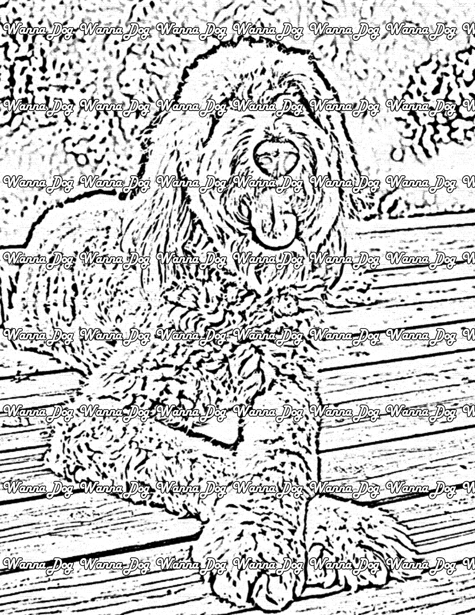 Goldendoodle Coloring Page of a Goldendoodle sitting around with their tongue out