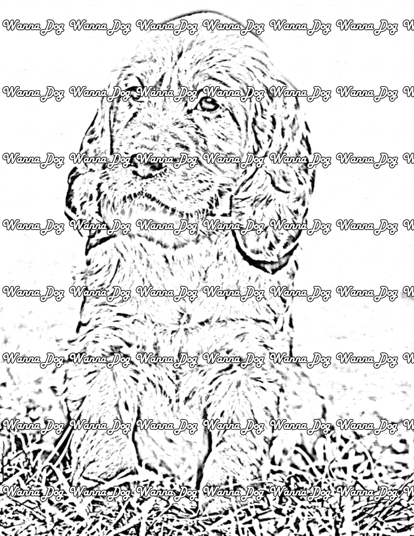 Irish Setter Coloring Page of a Irish Setter puppy sitting