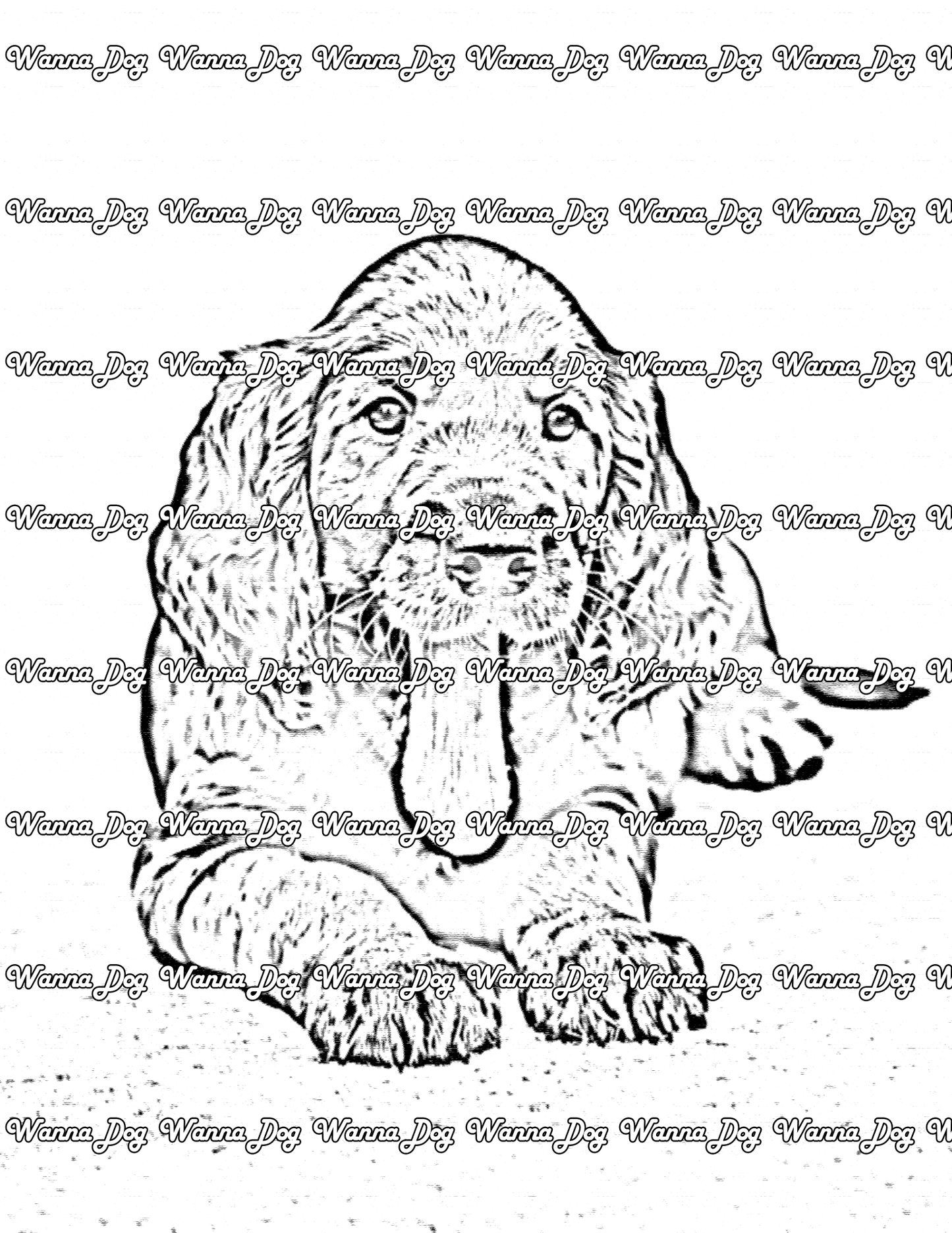 Irish Setter Coloring Page of a Irish Setter puppy with their tongue out
