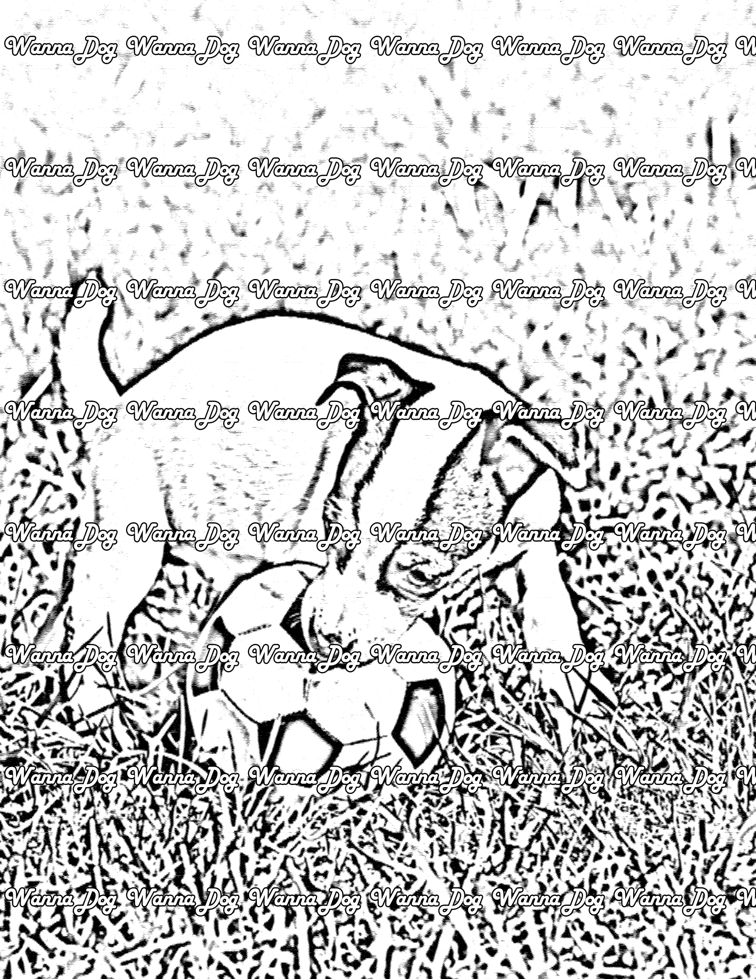 Jack Russell Terrier Coloring Page of a Jack Russell Terrier playing with a soccer ball