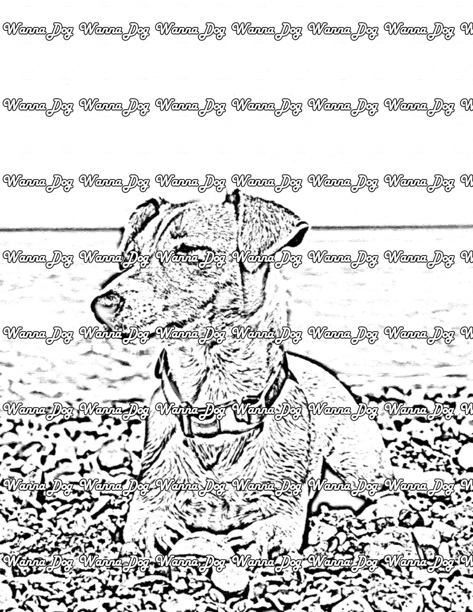 Jack Russell Terrier Coloring Page of a Jack Russell Terrier sitting near the water