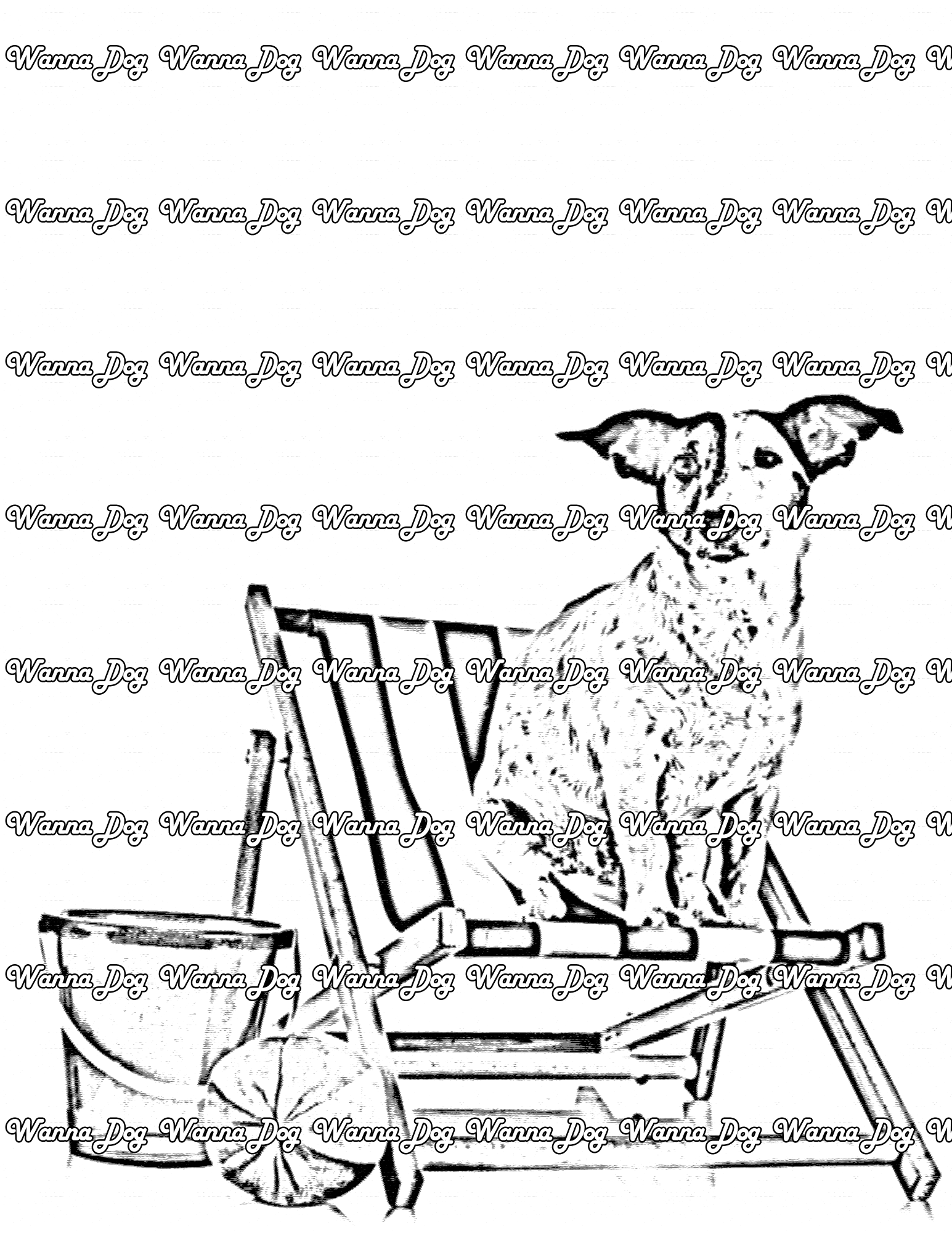 Jack Russell Terrier Coloring Page of a Jack Russell Terrier ready for the beach