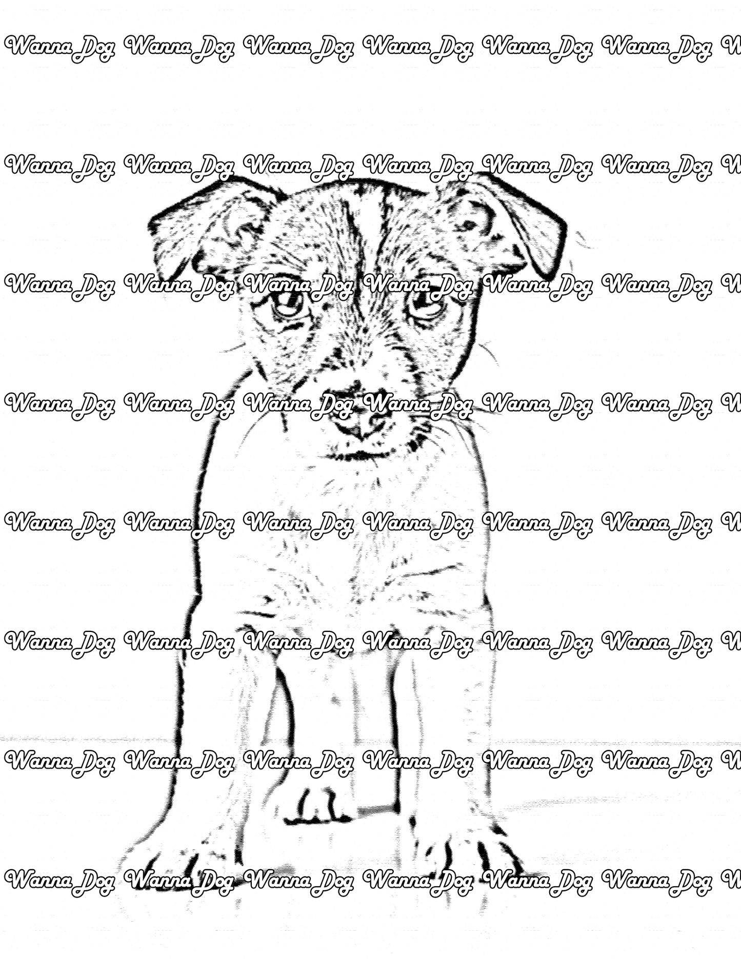 Jack Russell Terrier Coloring Page of a Jack Russell Terrier puppy standing