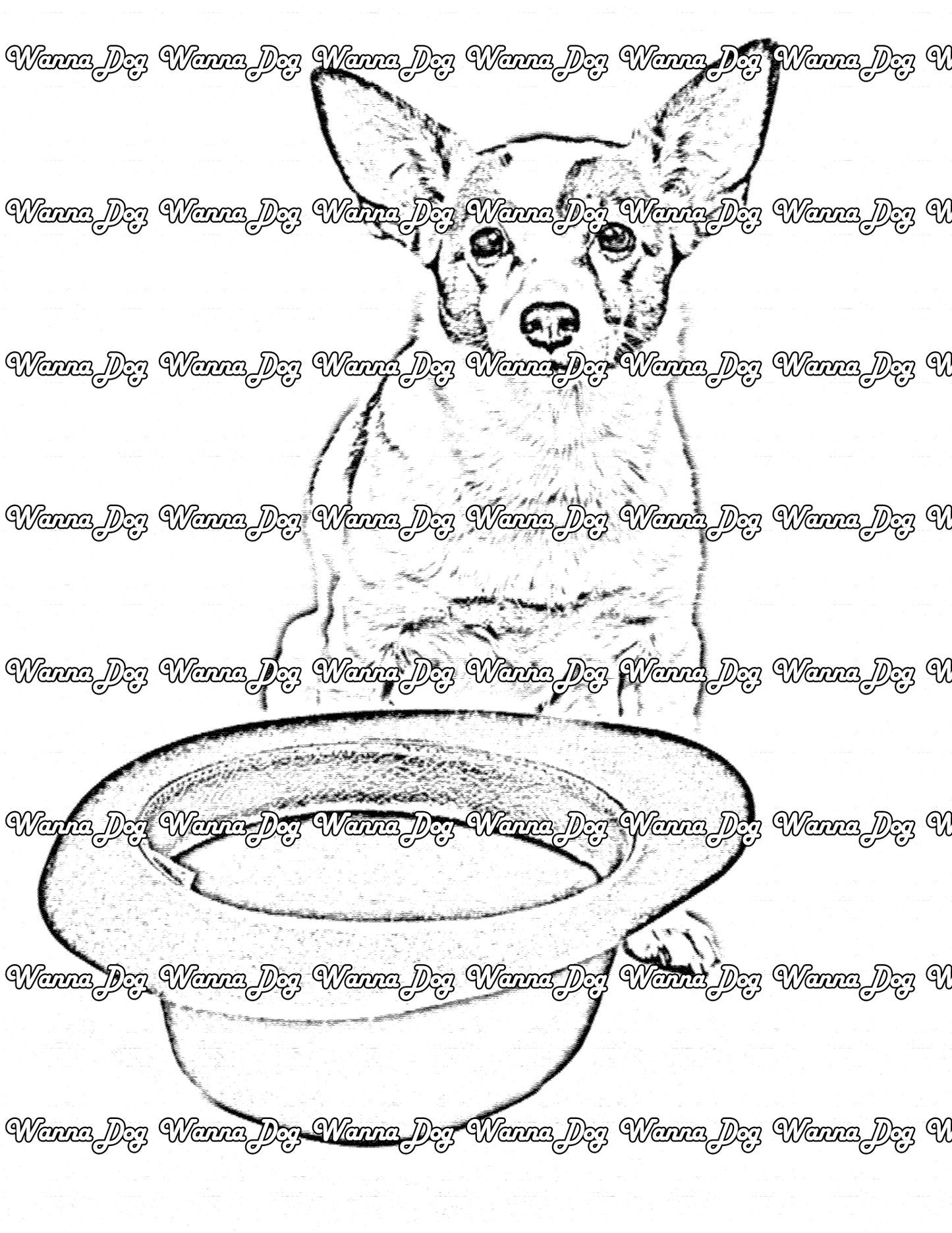 Jack Russell Terrier Coloring Page of a Jack Russell Terrier with a hat