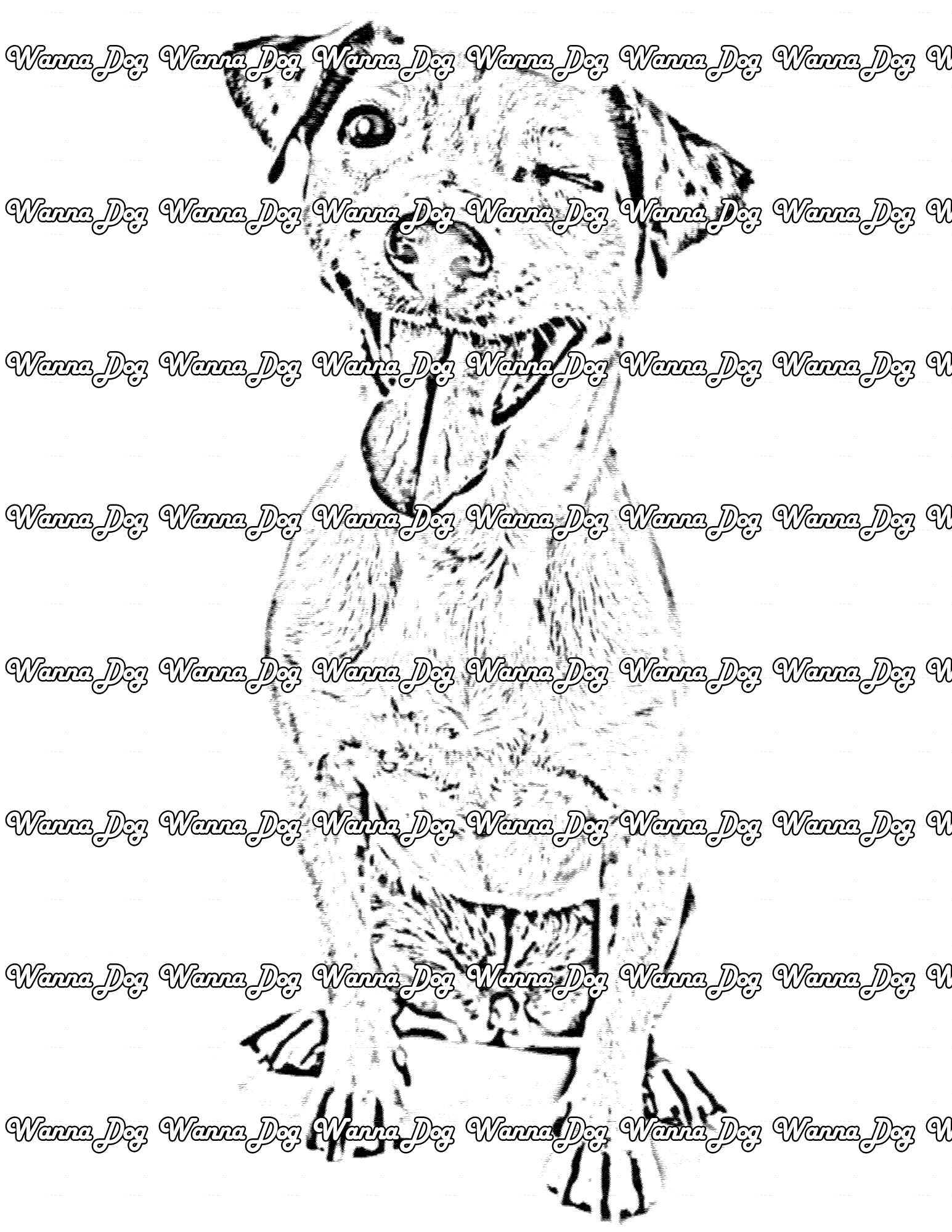 Jack Russell Terrier Coloring Page of a Jack Russell Terrier winking