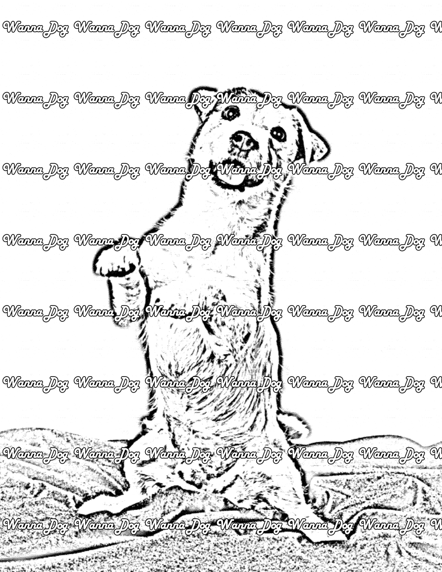 Jack Russell Terrier Coloring Page of a Jack Russell Terrier standing on two feet