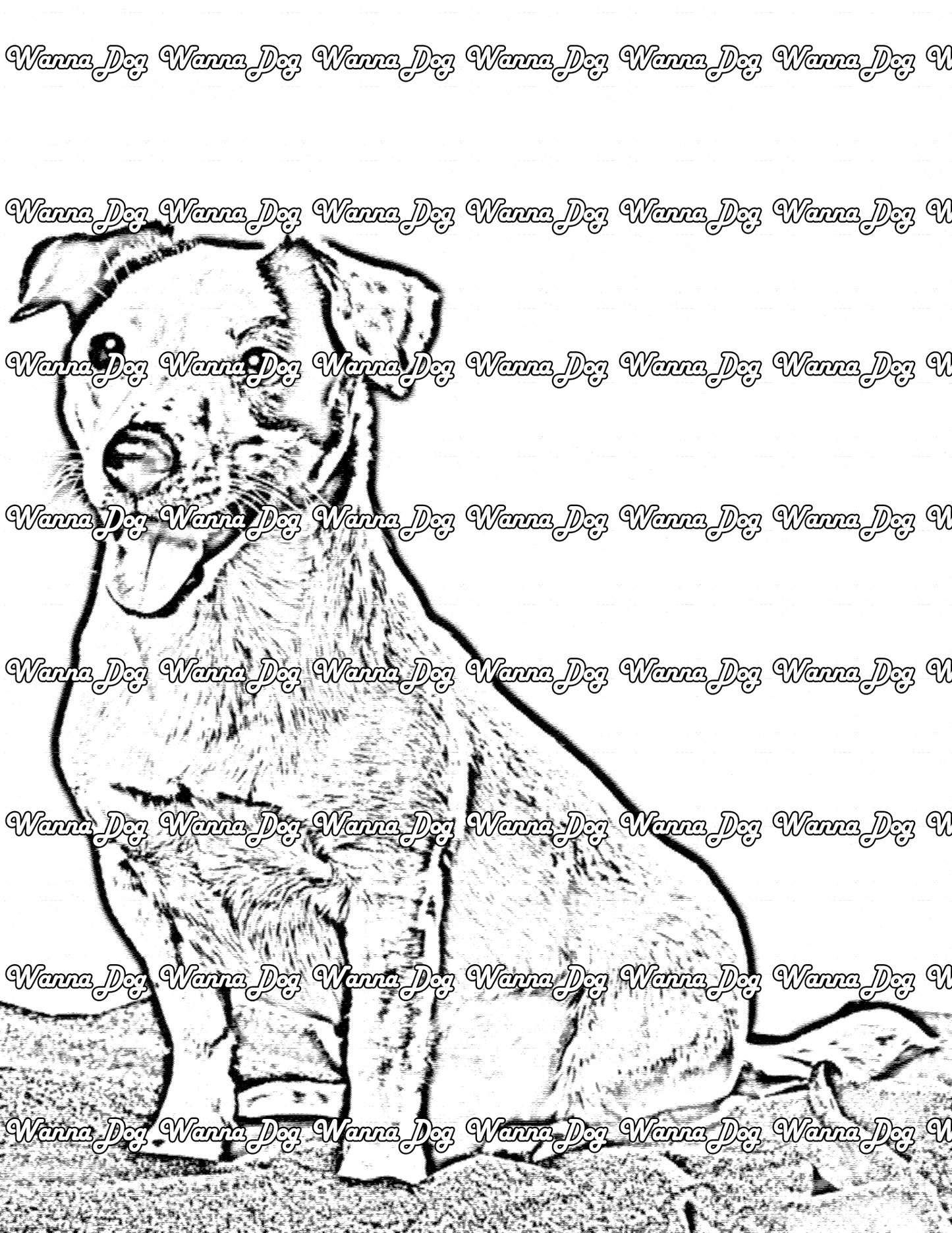 Jack Russell Terrier Coloring Page of a Jack Russell Terrier sitting with their tongue out