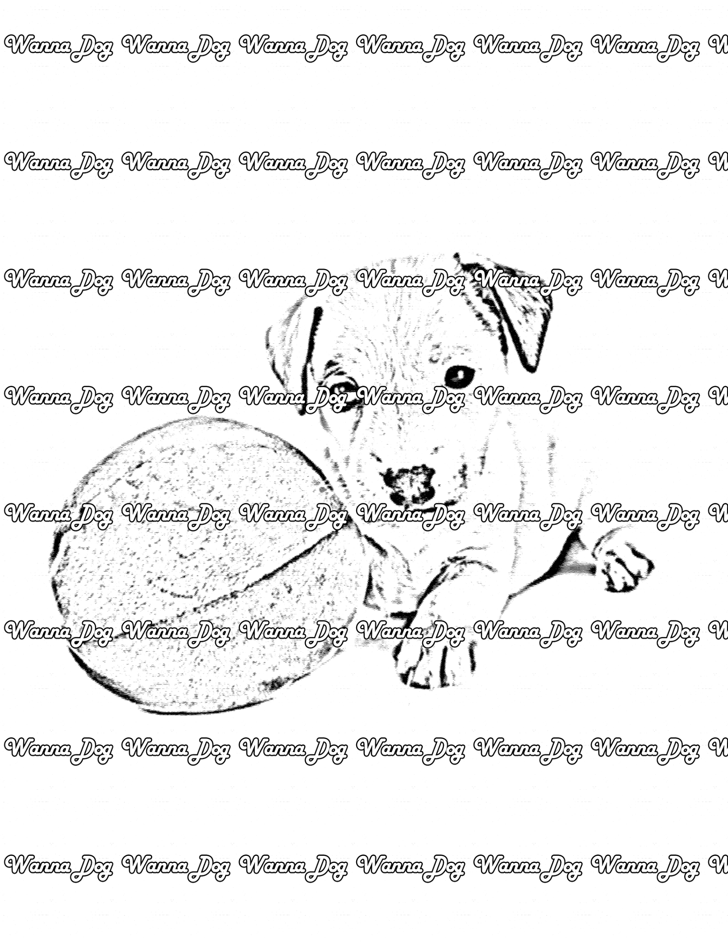 Jack Russell Terrier Coloring Page of a Jack Russell Terrier with a beach ball