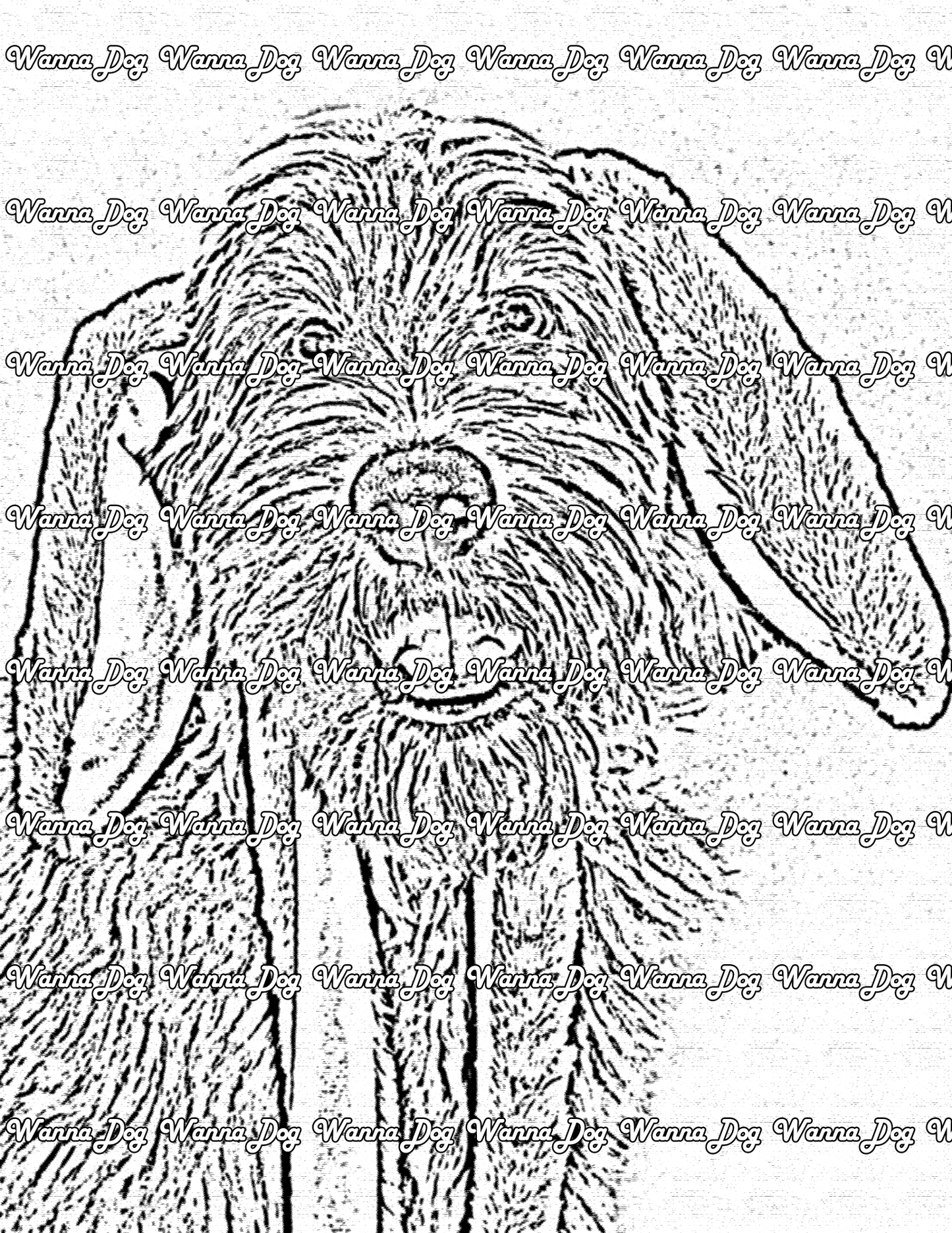 Labradoodle Coloring Page of a Labradoodle with bunny ears