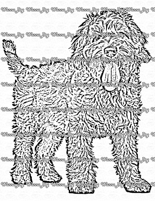 Labradoodle Coloring Page of a Labradoodle standing with their tongue out