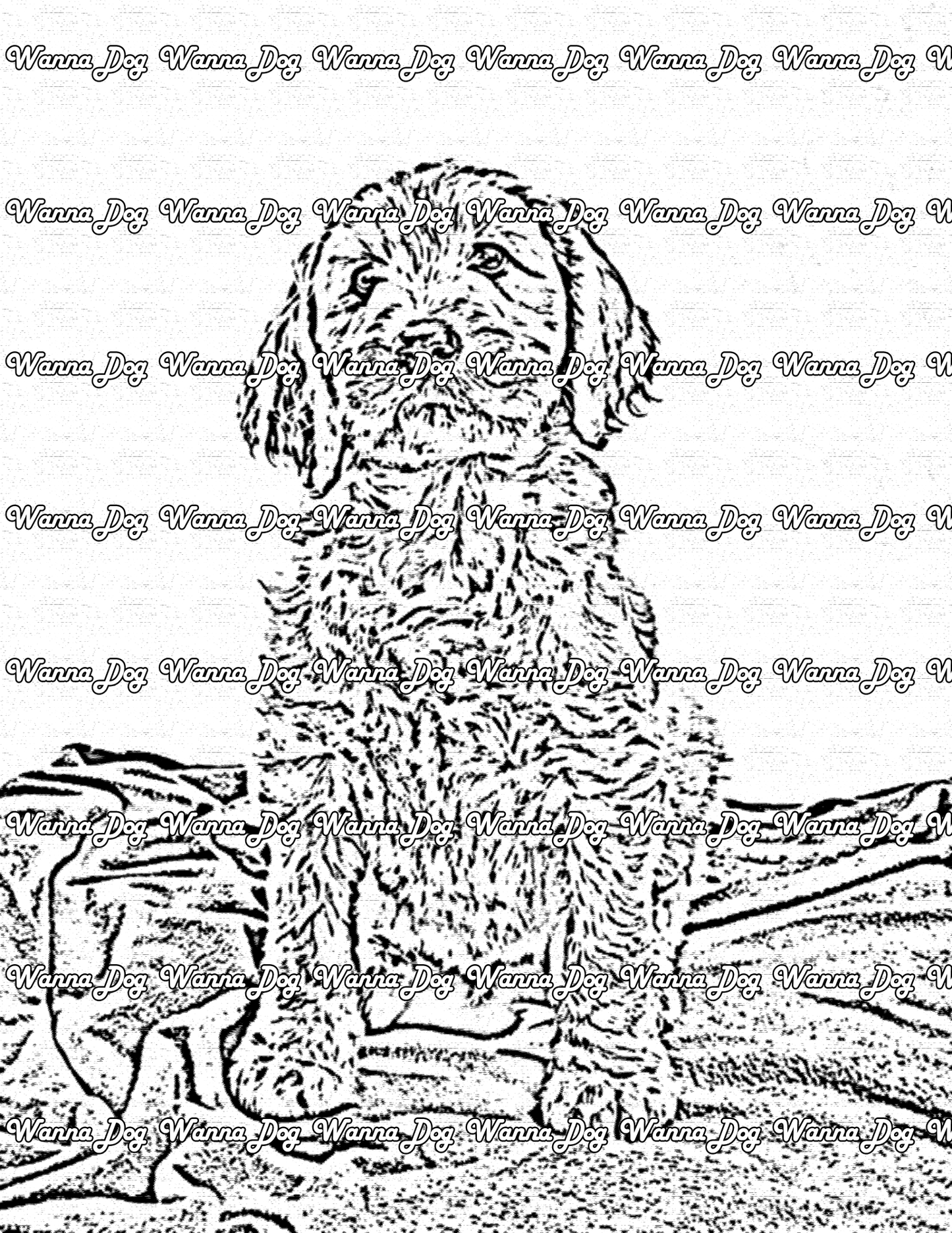 Labradoodle Coloring Page of a Labradoodle on a blanket
