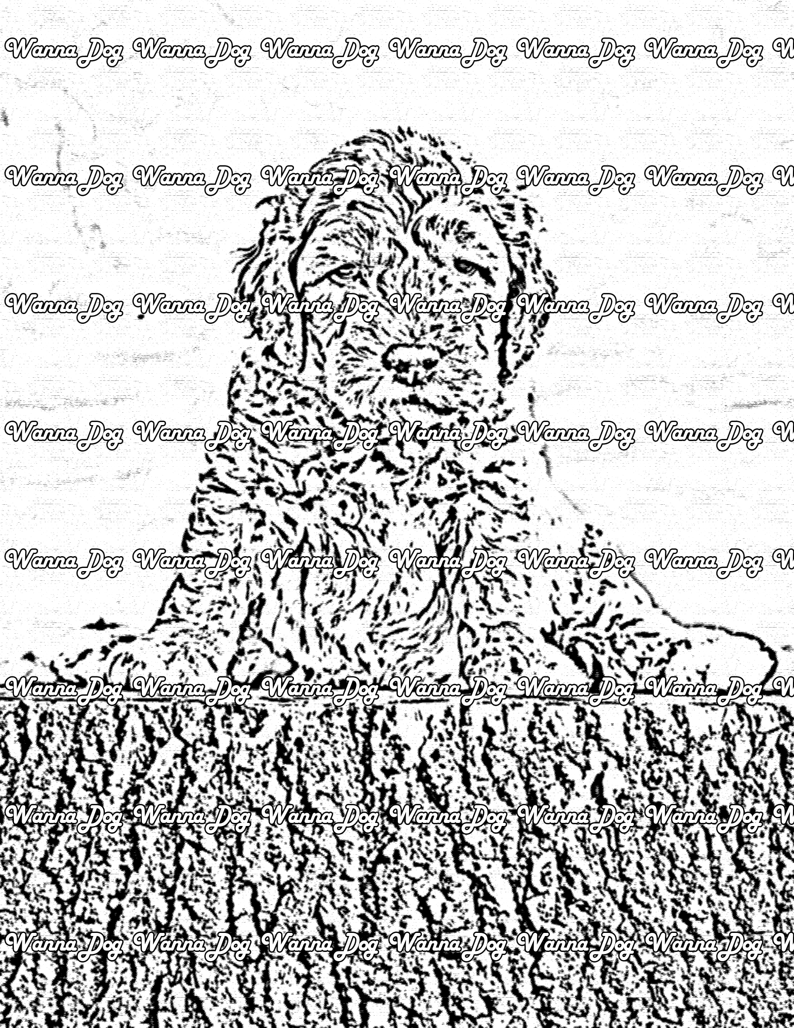 Labradoodle Coloring Page of a Labradoodle on a trunk of wood