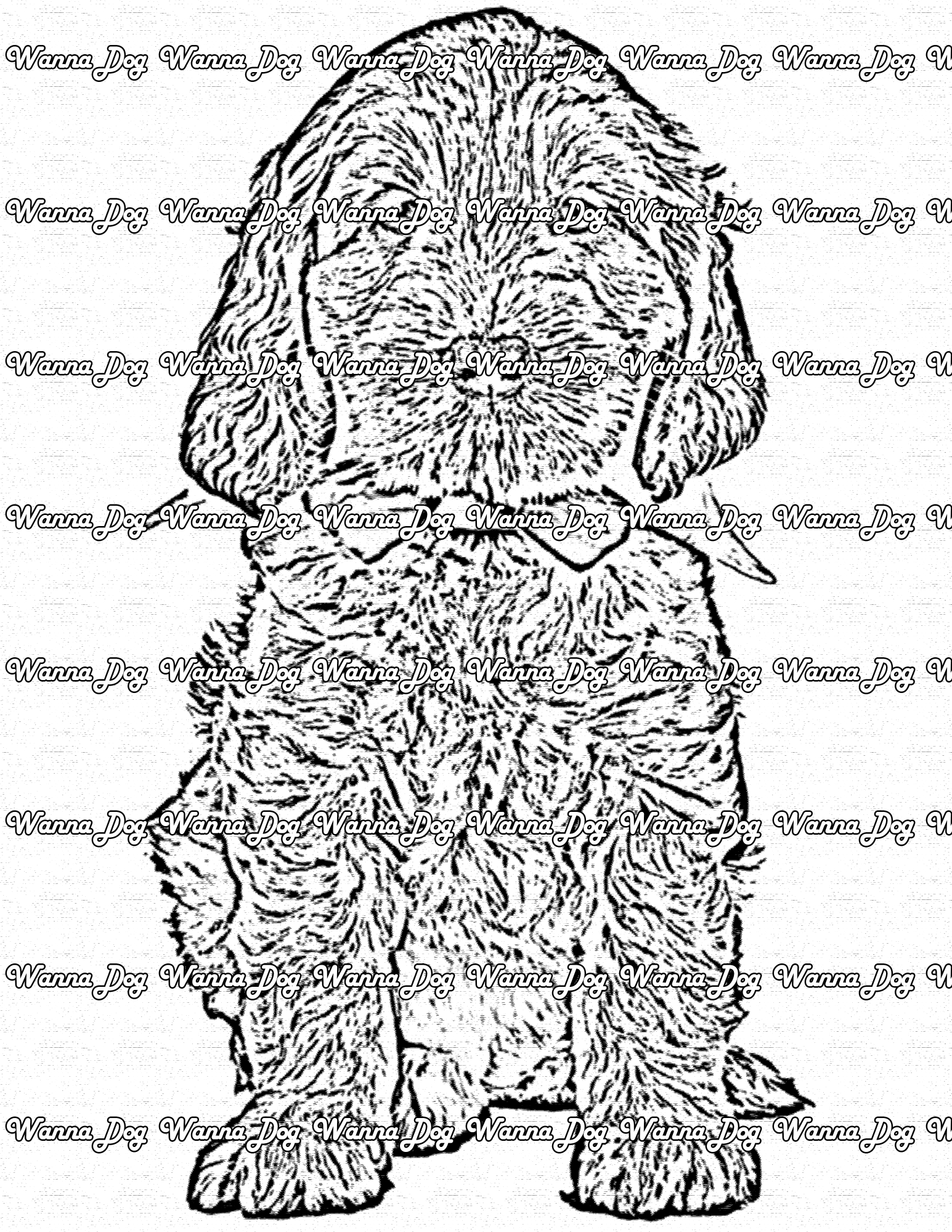 Labradoodle Coloring Page of a Labradoodle with a bowtie