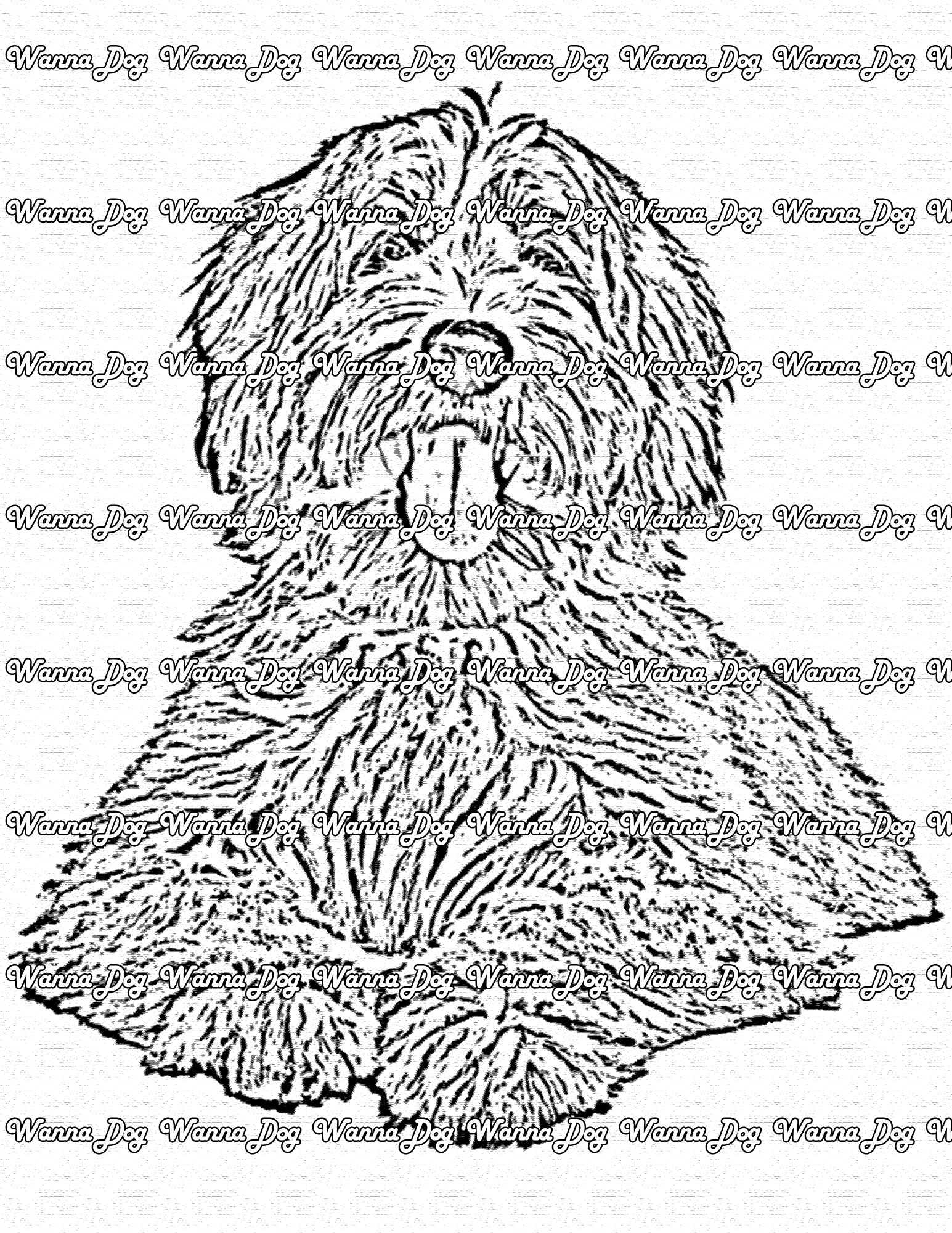 Labradoodle Coloring Page of a Labradoodle laying down with their tongue out