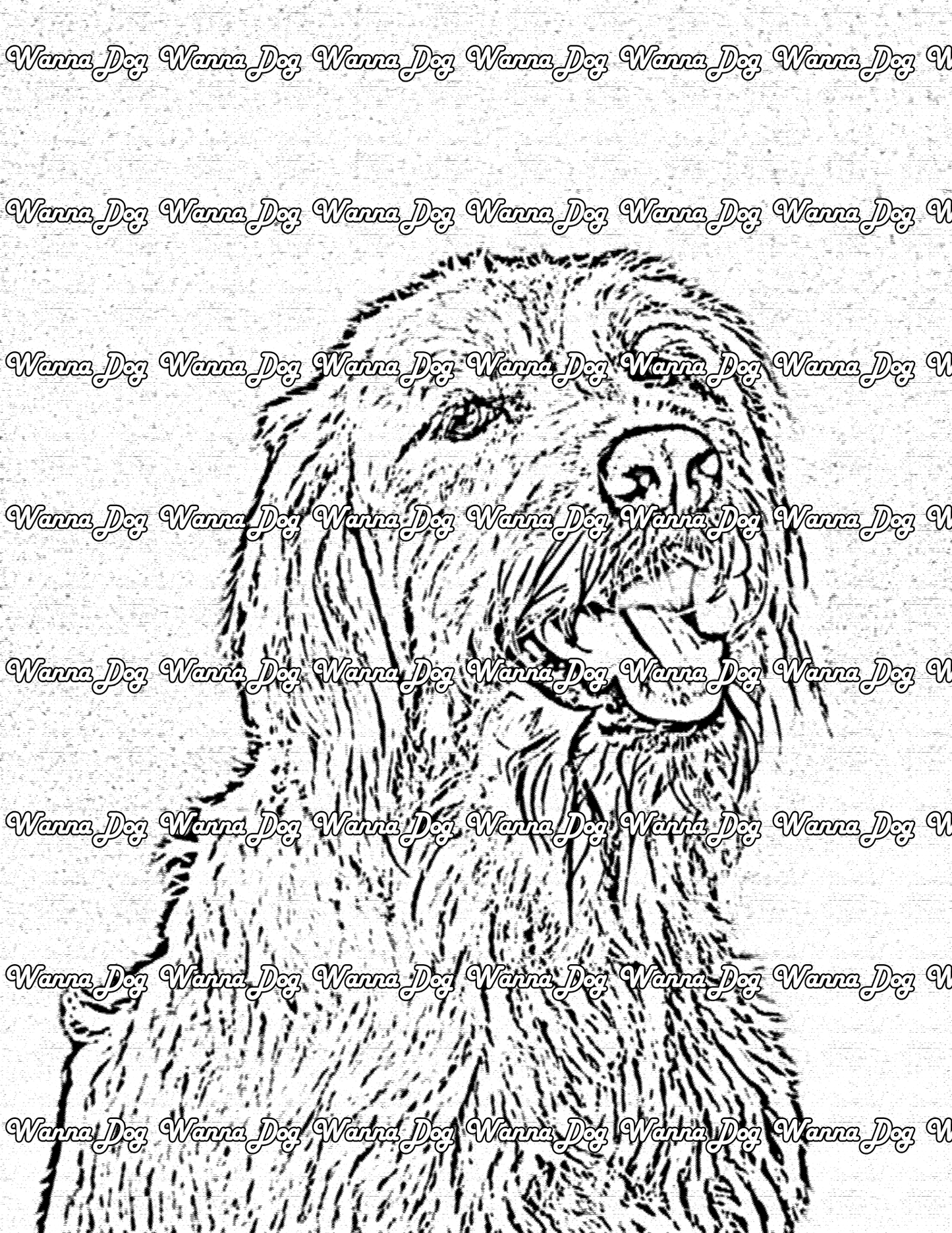 Labradoodle Coloring Page of a Labradoodle close up with their tongue out