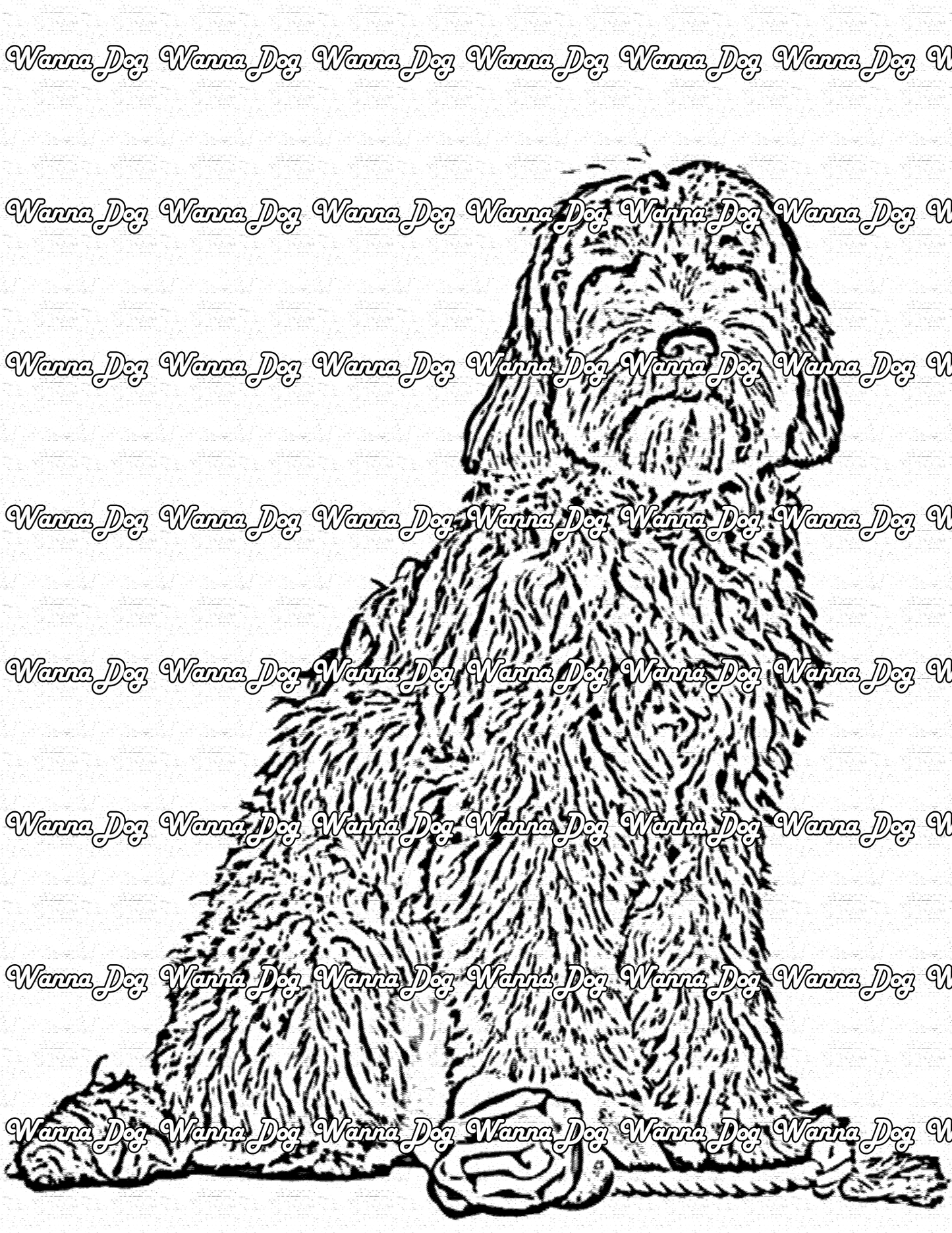 Labradoodle Coloring Page of a Labradoodle with a rose