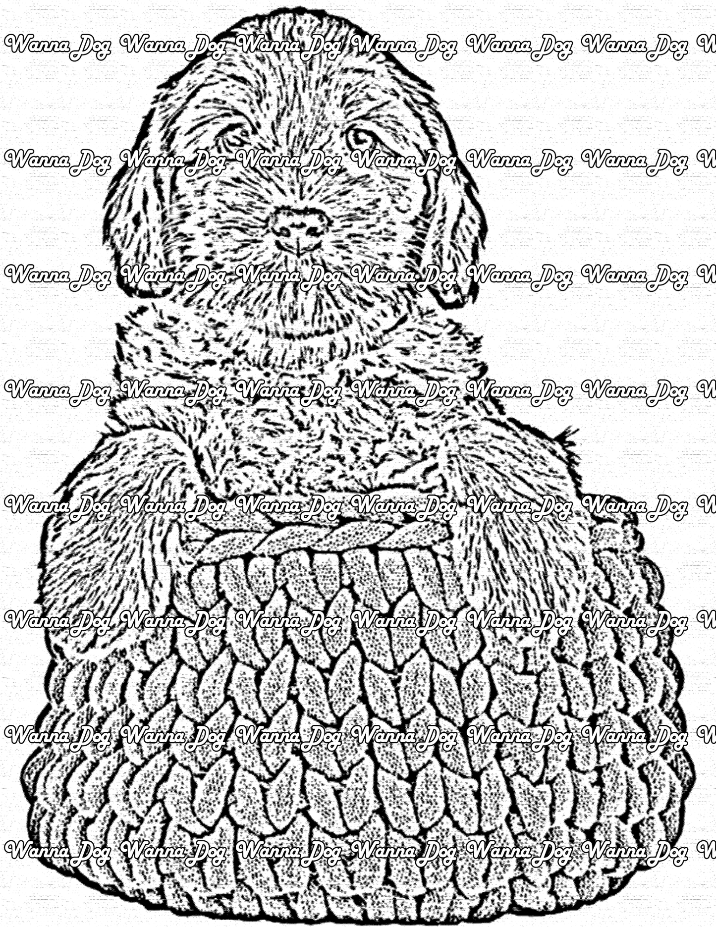 Labradoodle Coloring Page of a Labradoodle in a basket