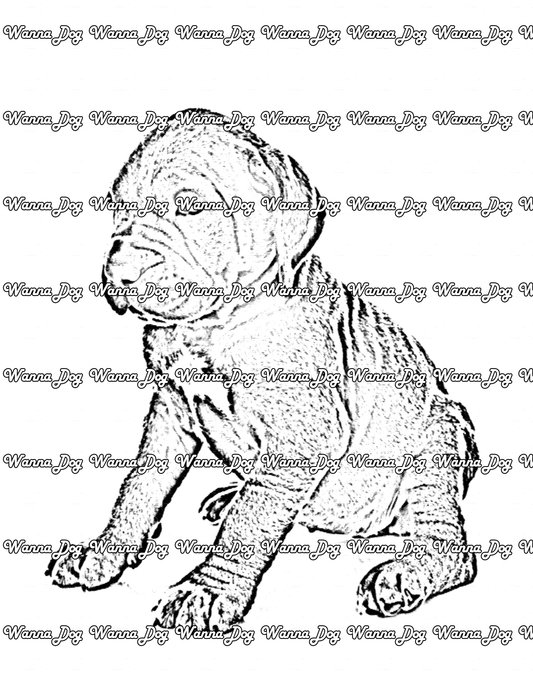 Mastiff Coloring Page of a Mastiff puppy sitting
